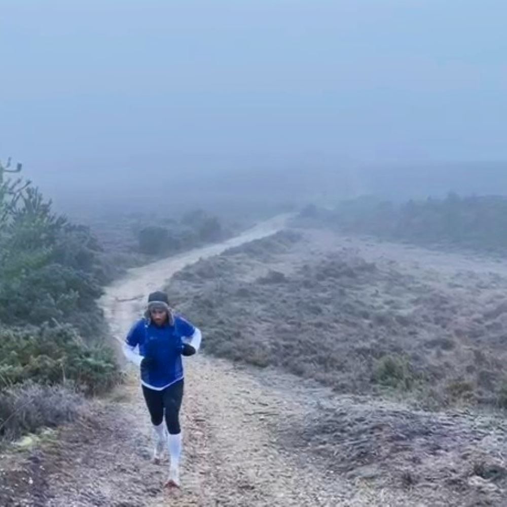 new forest xmas trails