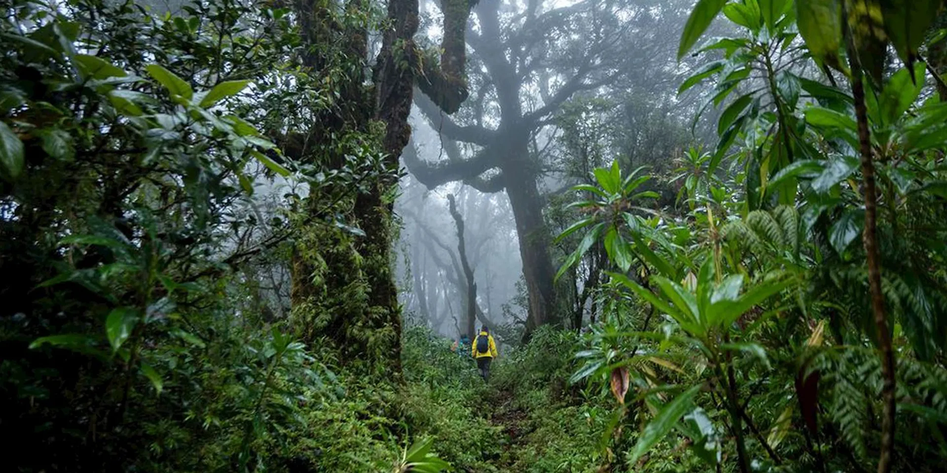 Sendero del Jaguar, Hiking Retreat