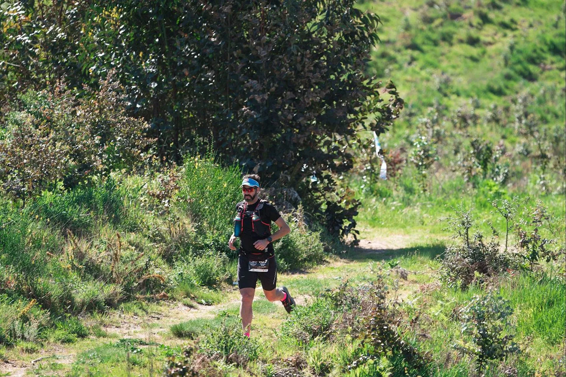 Sanguinhal Wine Trail - main photo