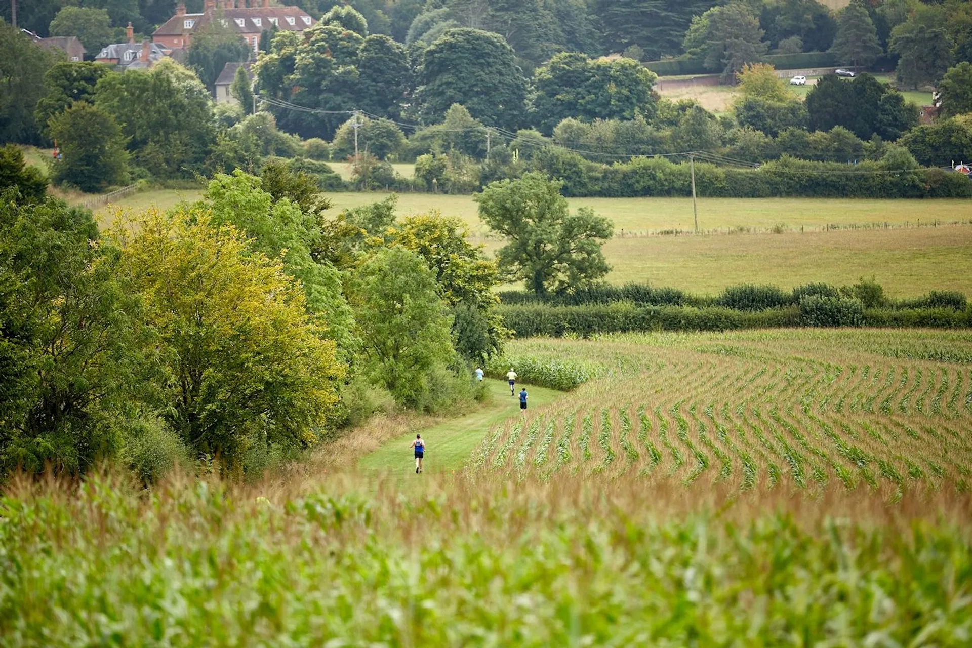 The image shows a scenic countryside landscape with a green field, trees, and a few people walking along a path. In the background, there are more trees and some houses nestled among them. The scene is lush and peaceful, suggesting a rural area.