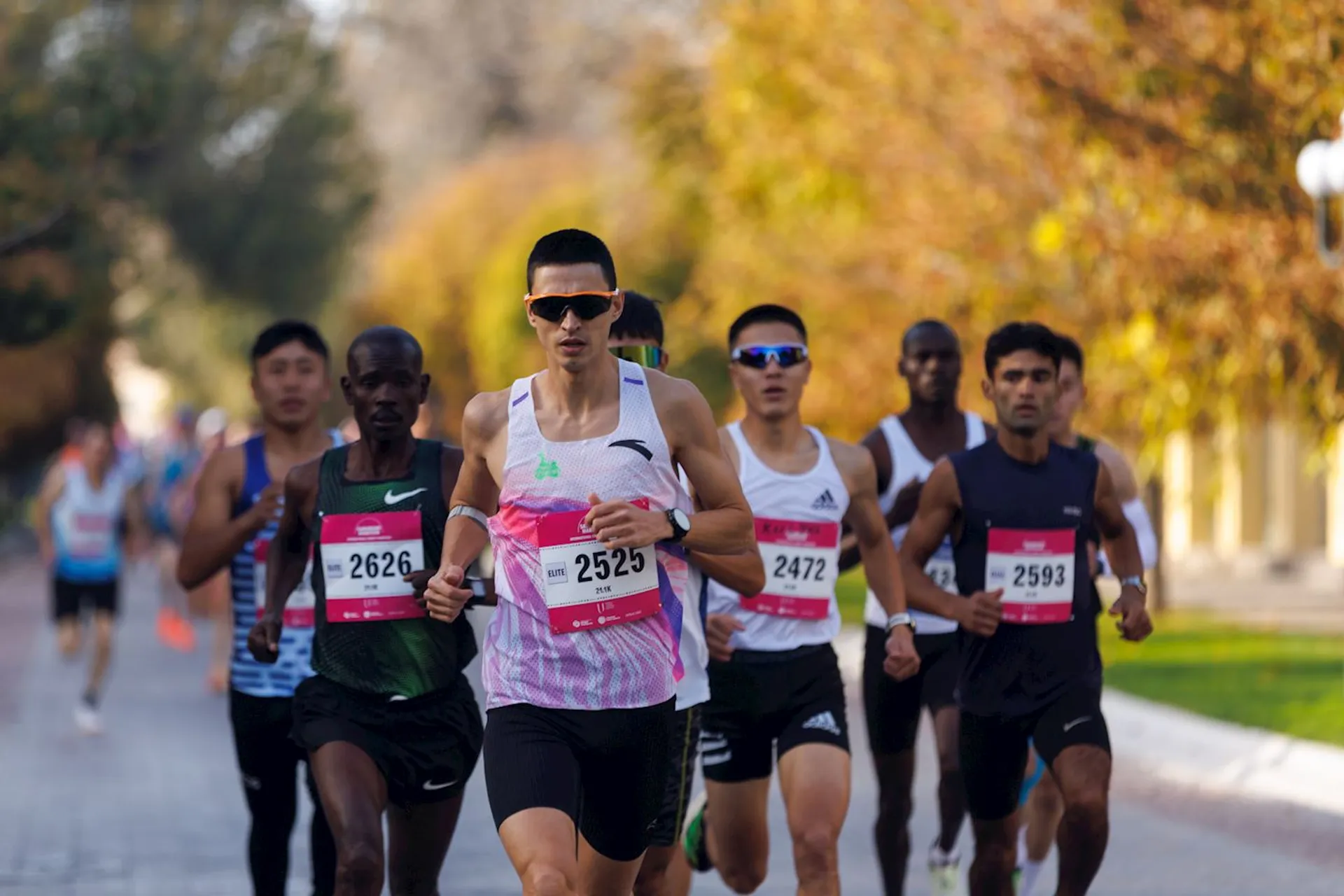 The image shows a group of runners participating in a race or marathon. They are running on a paved path lined with trees, and each runner is wearing a race bib with a number. The background has autumn foliage.