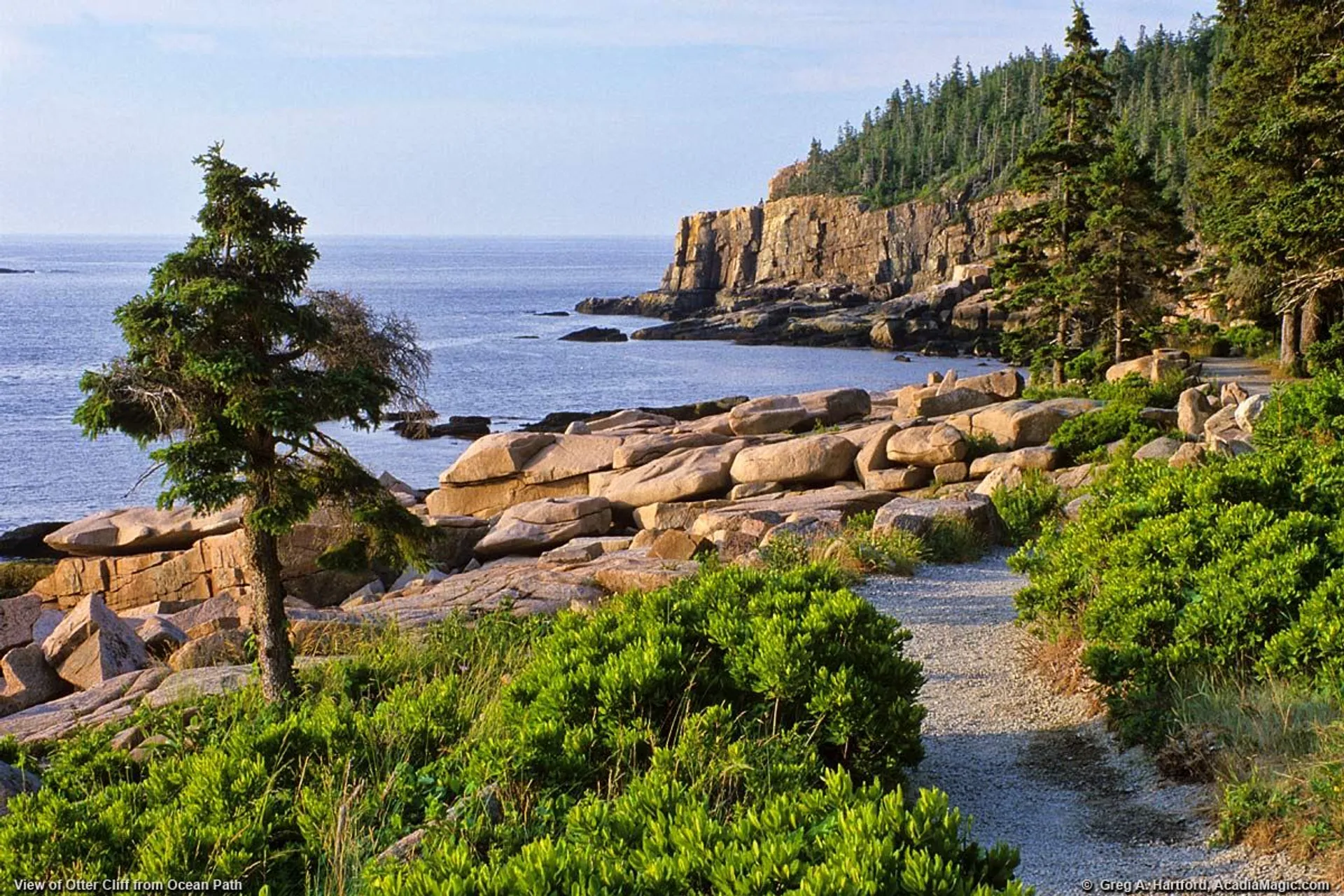 Acadia Half Marathon and 10K