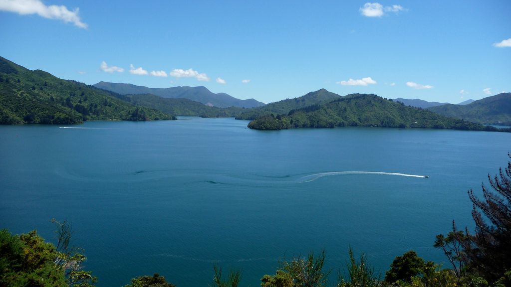 Looking out over the Marlborough Sounds