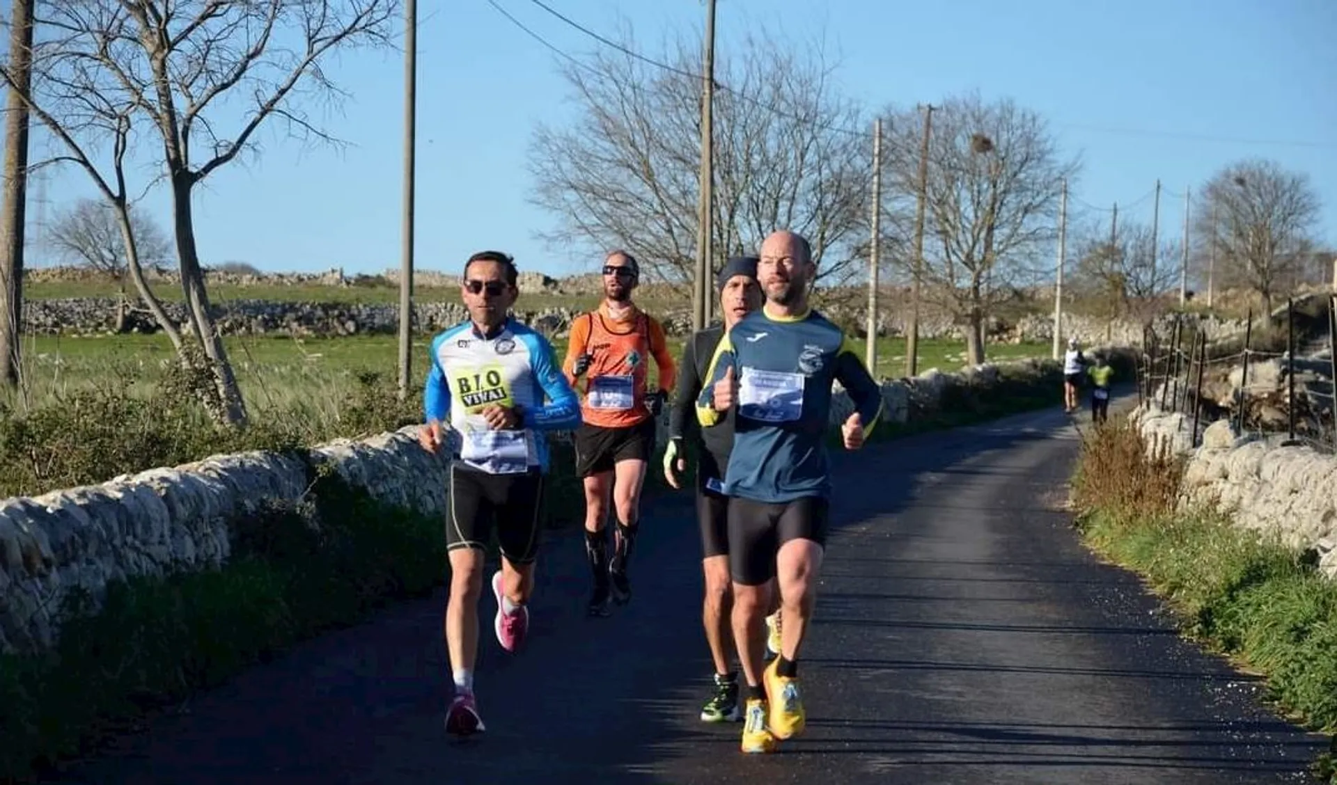 The image depicts a group of runners participating in a road race or running event. They are dressed in athletic attire, with some wearing numbered bibs, suggesting an organized competition. They are running on a paved road with fields and stone walls on either side, under a clear blue sky, which suggests a rural or countryside setting. The runners seem focused and determined, typical of athletes in the midst of a race.