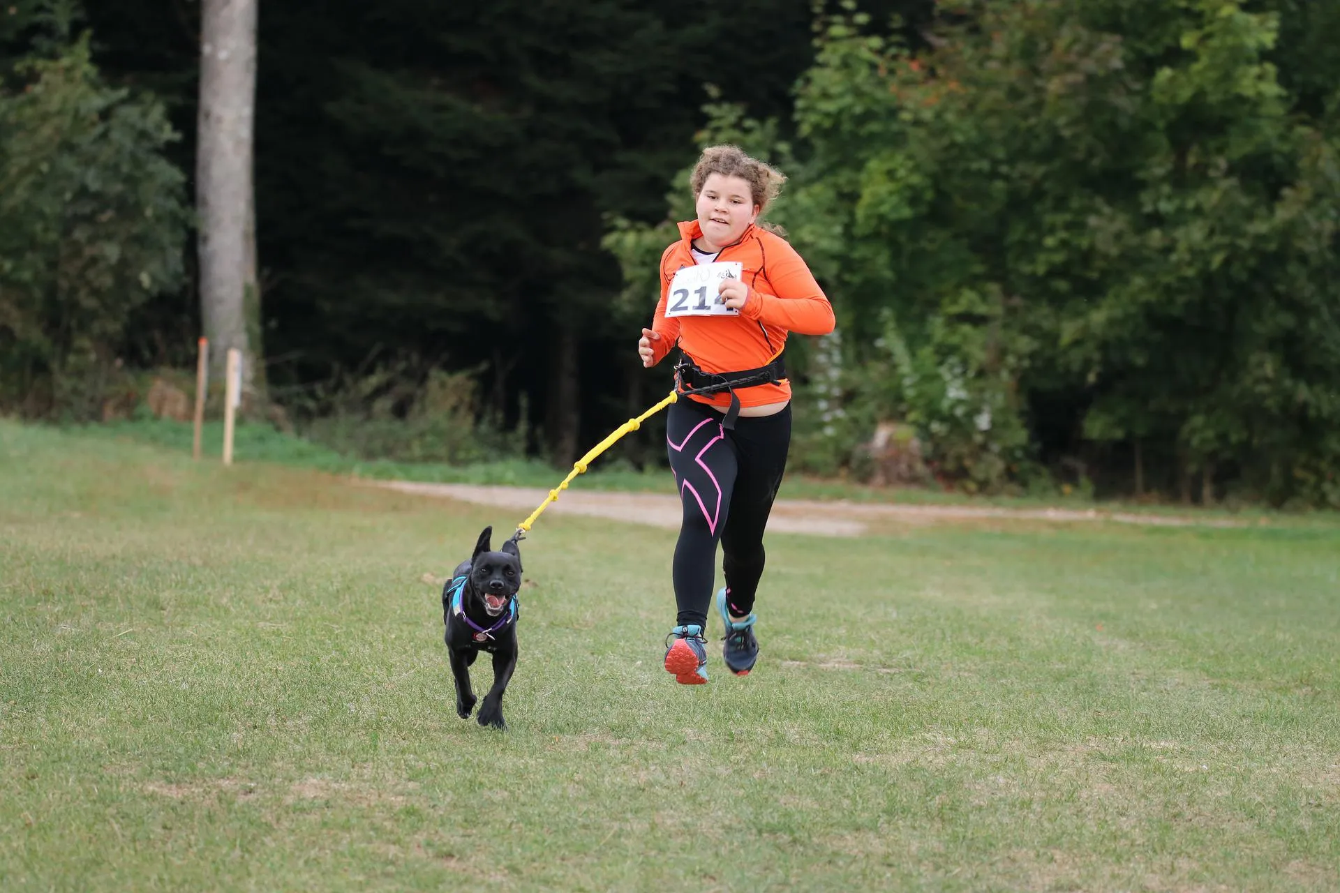 Race theme: Timed