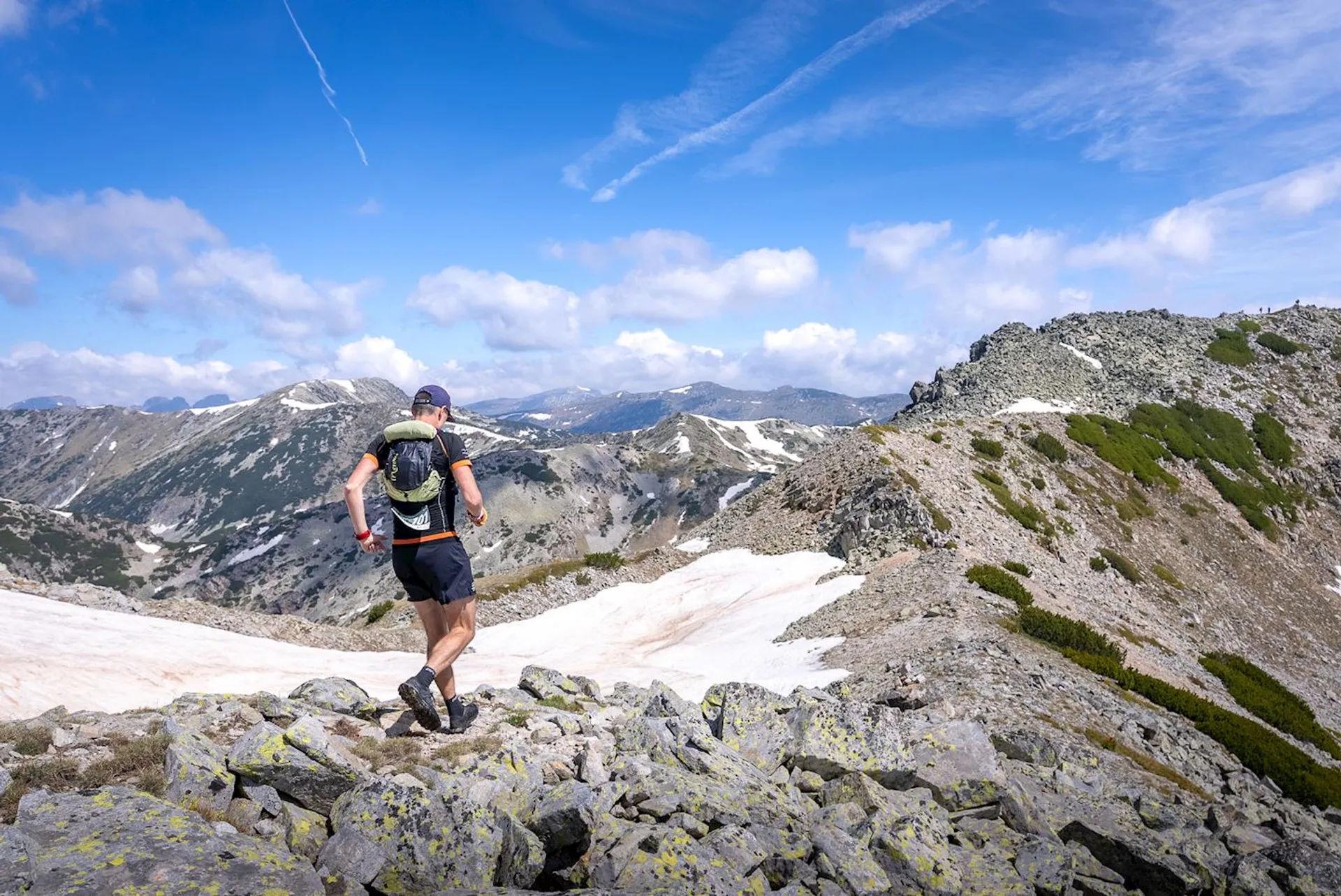 Parangalitsa Run - main photo