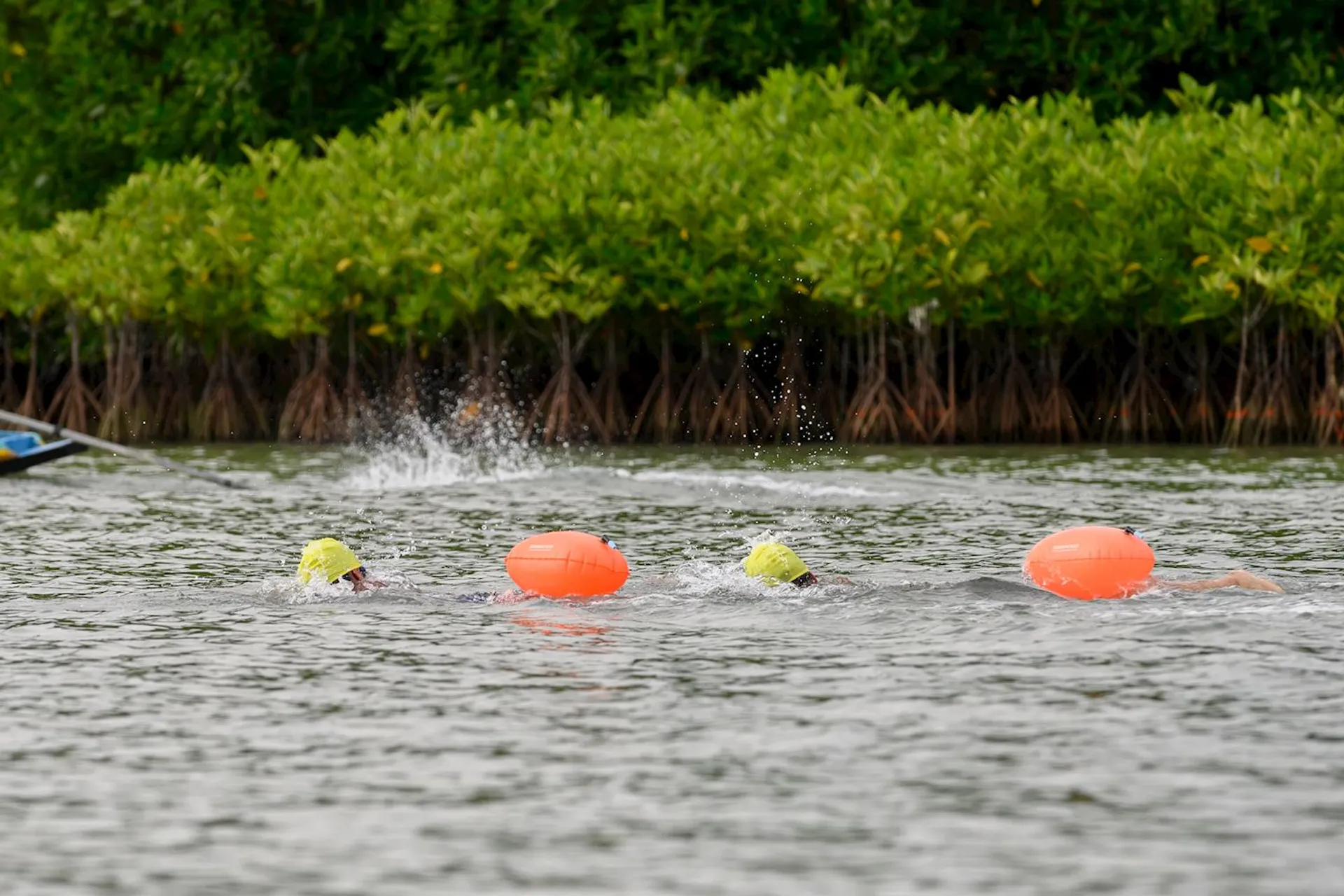 Singora Lake Swim