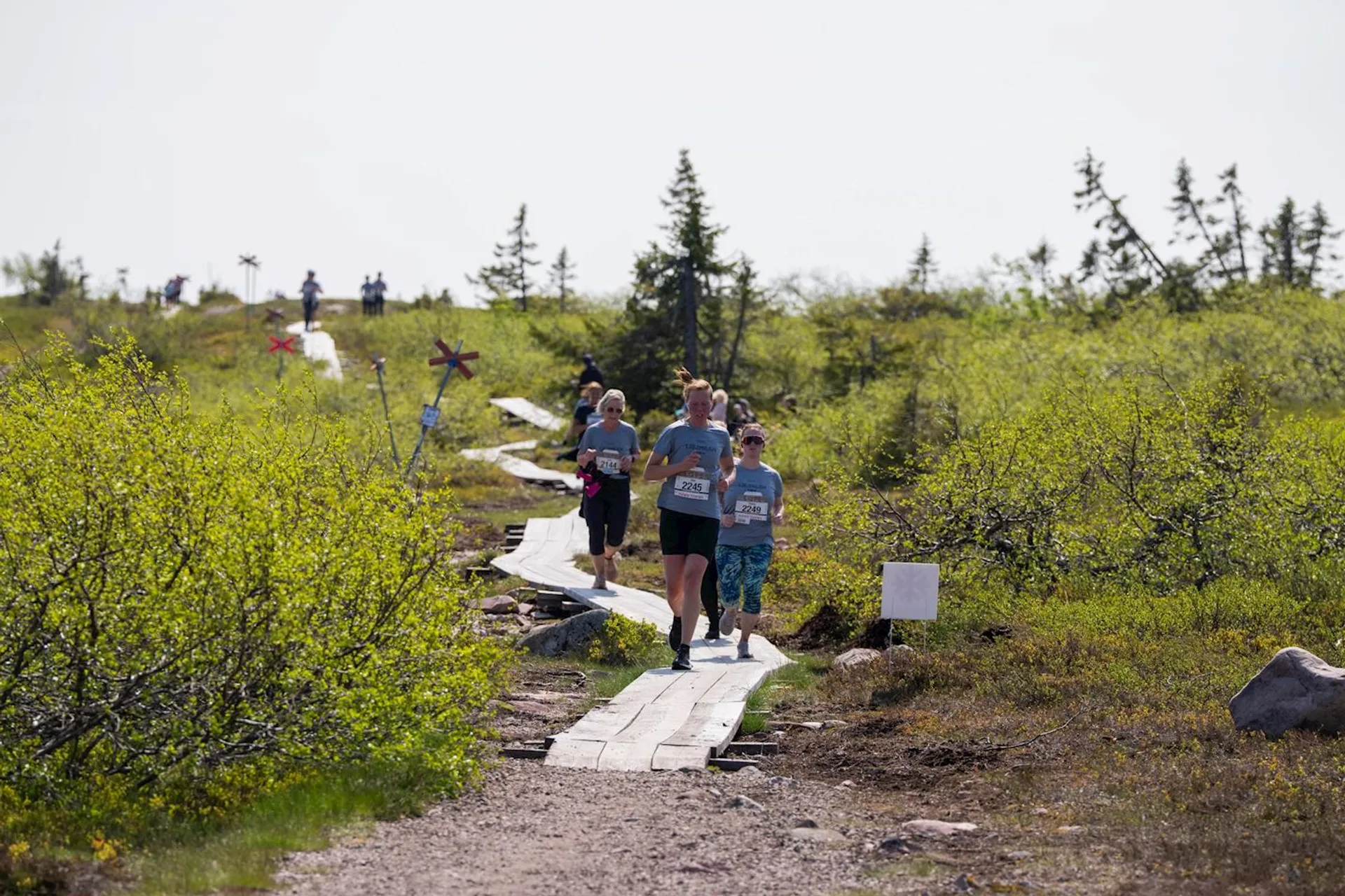 The image shows people running or participating in a race on a wooden path through a natural landscape, possibly in a park or a forested area. There are trees and shrubs around, and the runners are following a trail. It seems to be a sunny day.