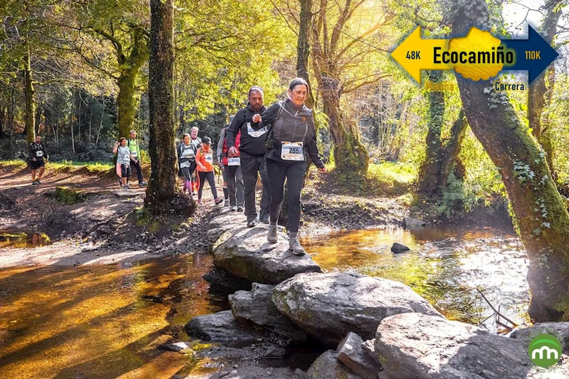 Image of Desafío Internacional Ecocamiño 50K - On the Way of St. James