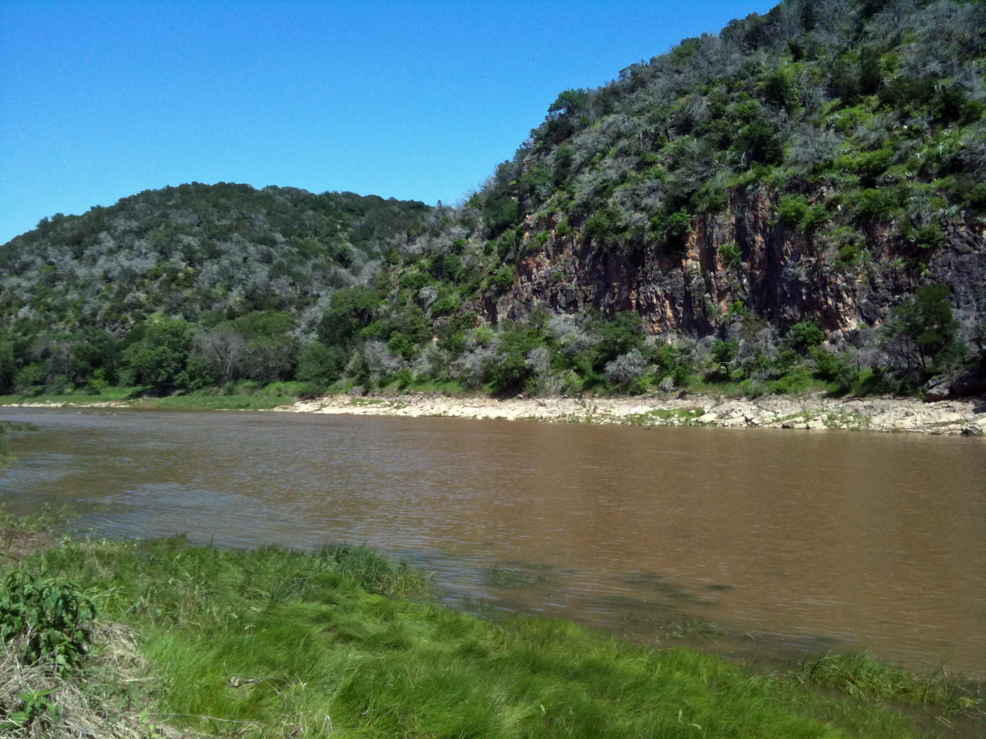 This image depicts a natural scene featuring a river with muddy or sediment-rich water,