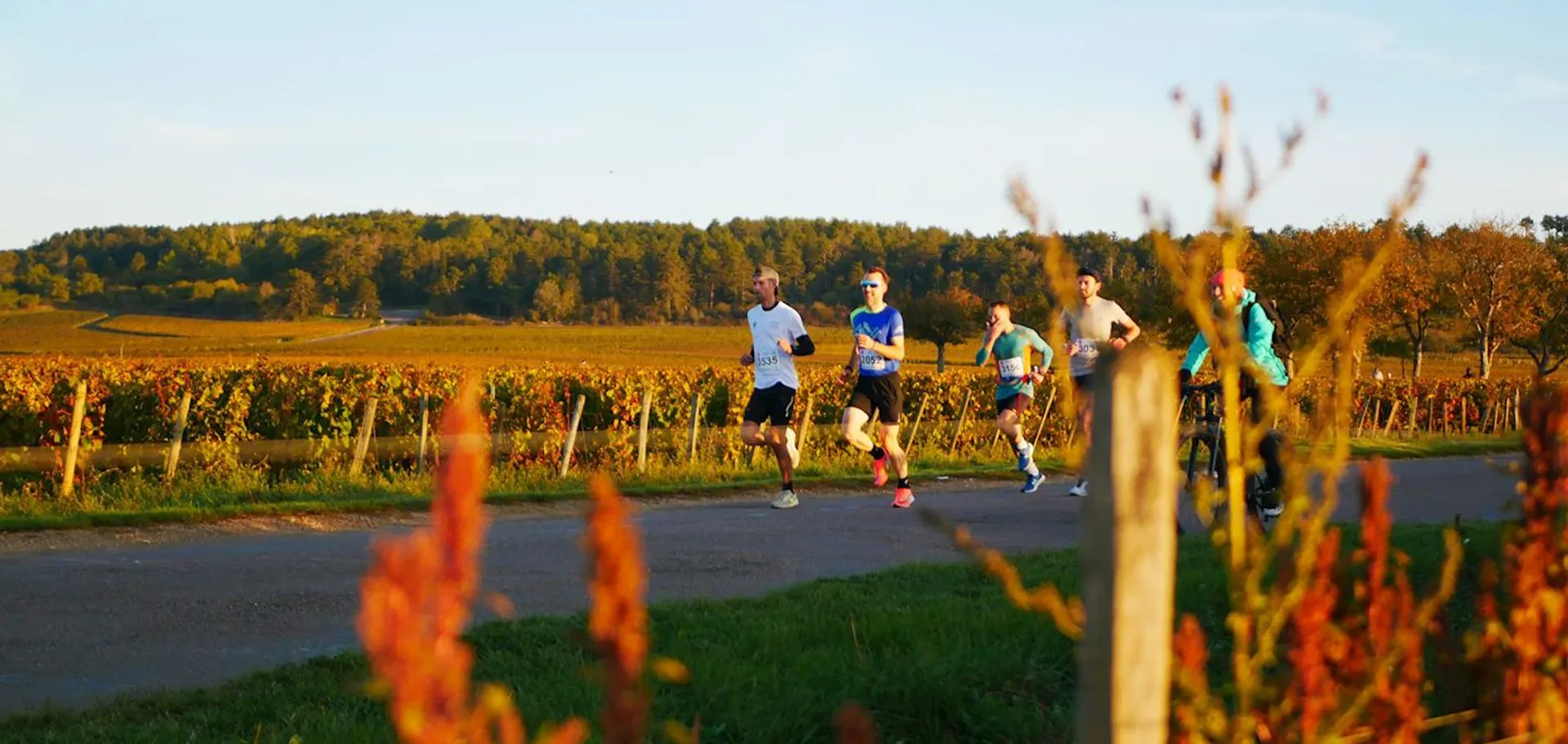 Marathon des Grands Crus