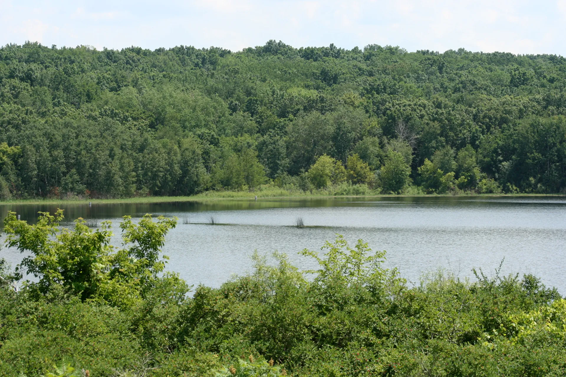 The image depicts a tranquil natural scene. It features a body of water, which