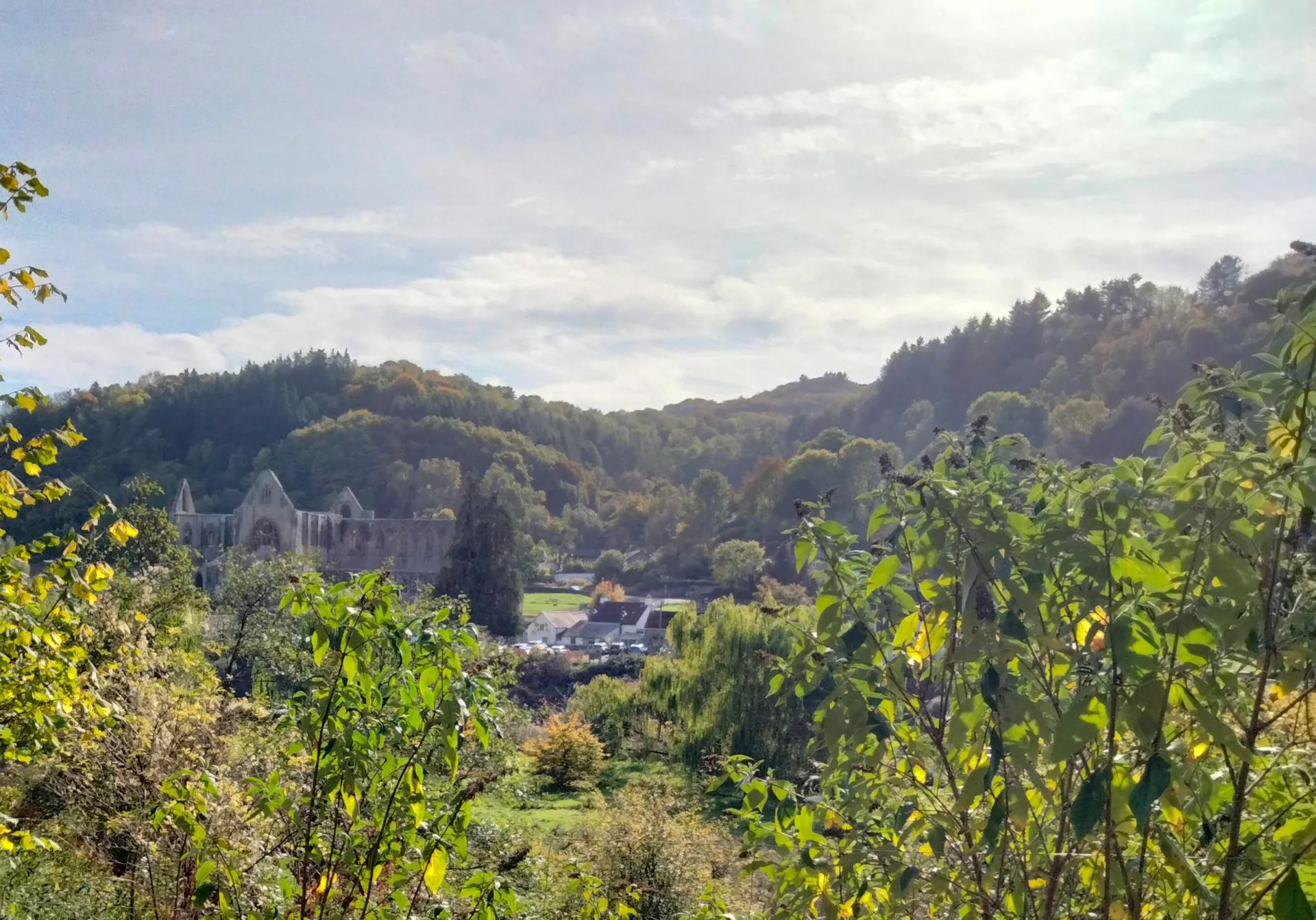 The image shows a scenic landscape that includes lush greenery with various trees and plants