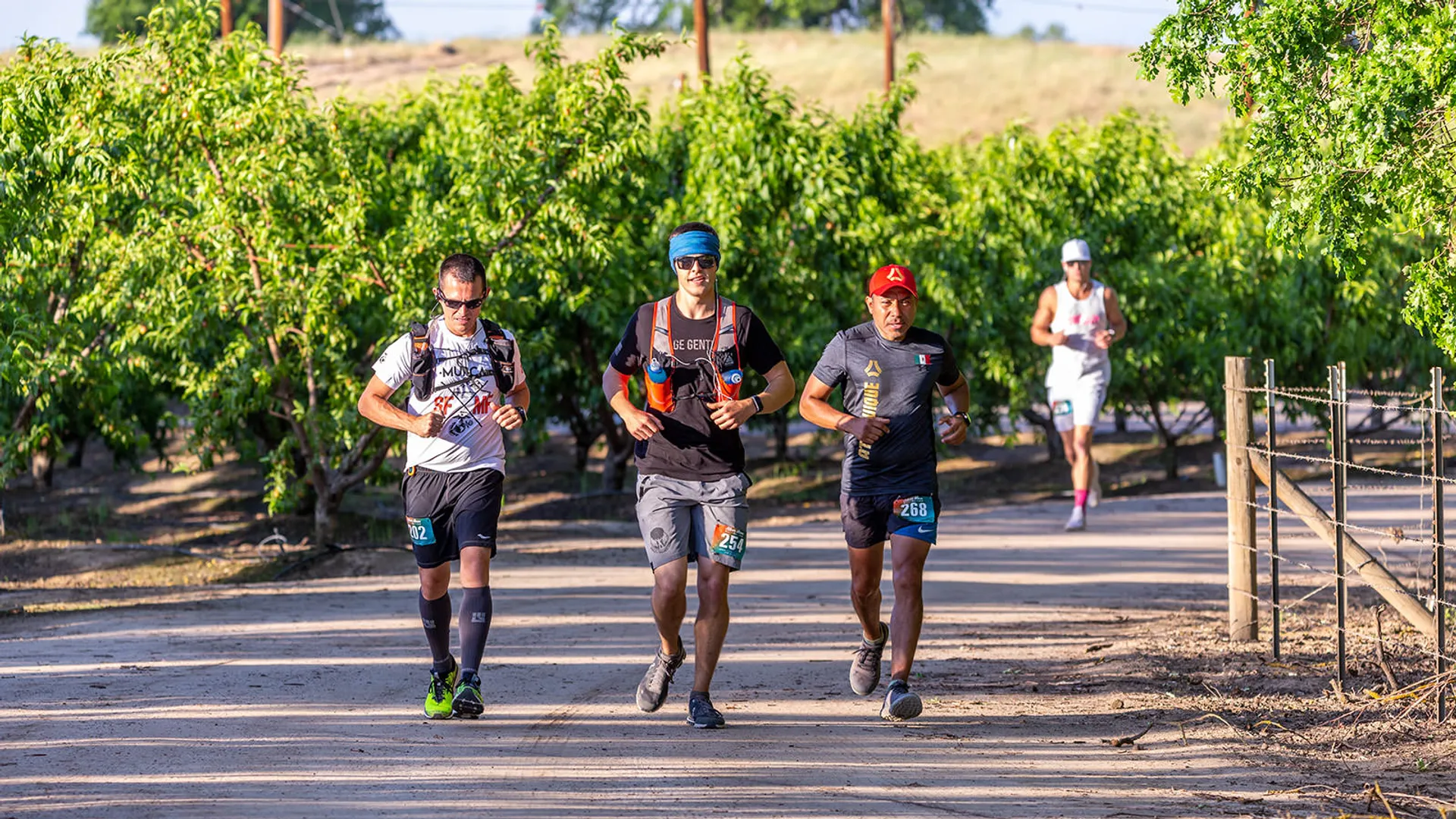 This image shows a group of runners participating in a race or a running event.