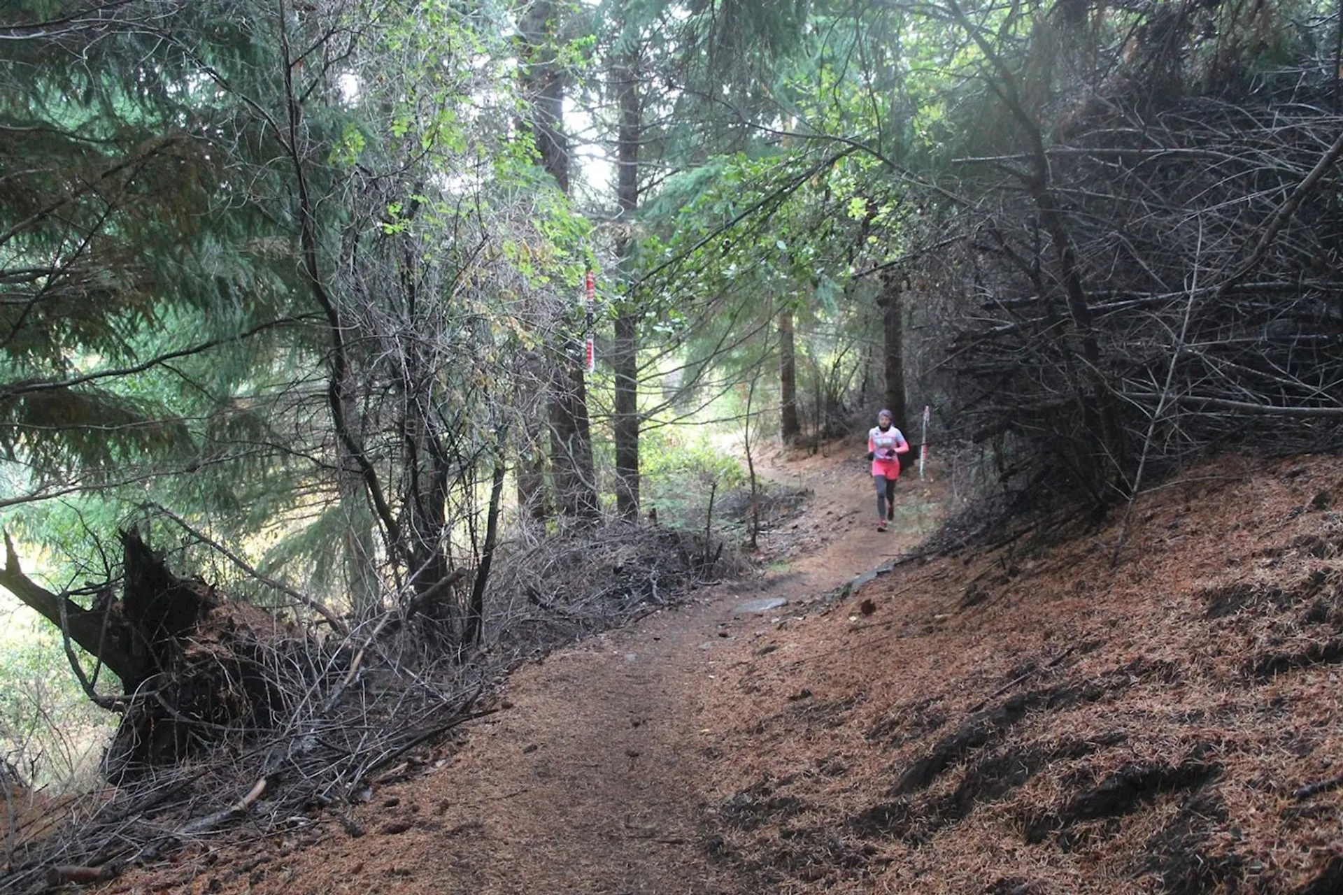 Lost Valley Trail