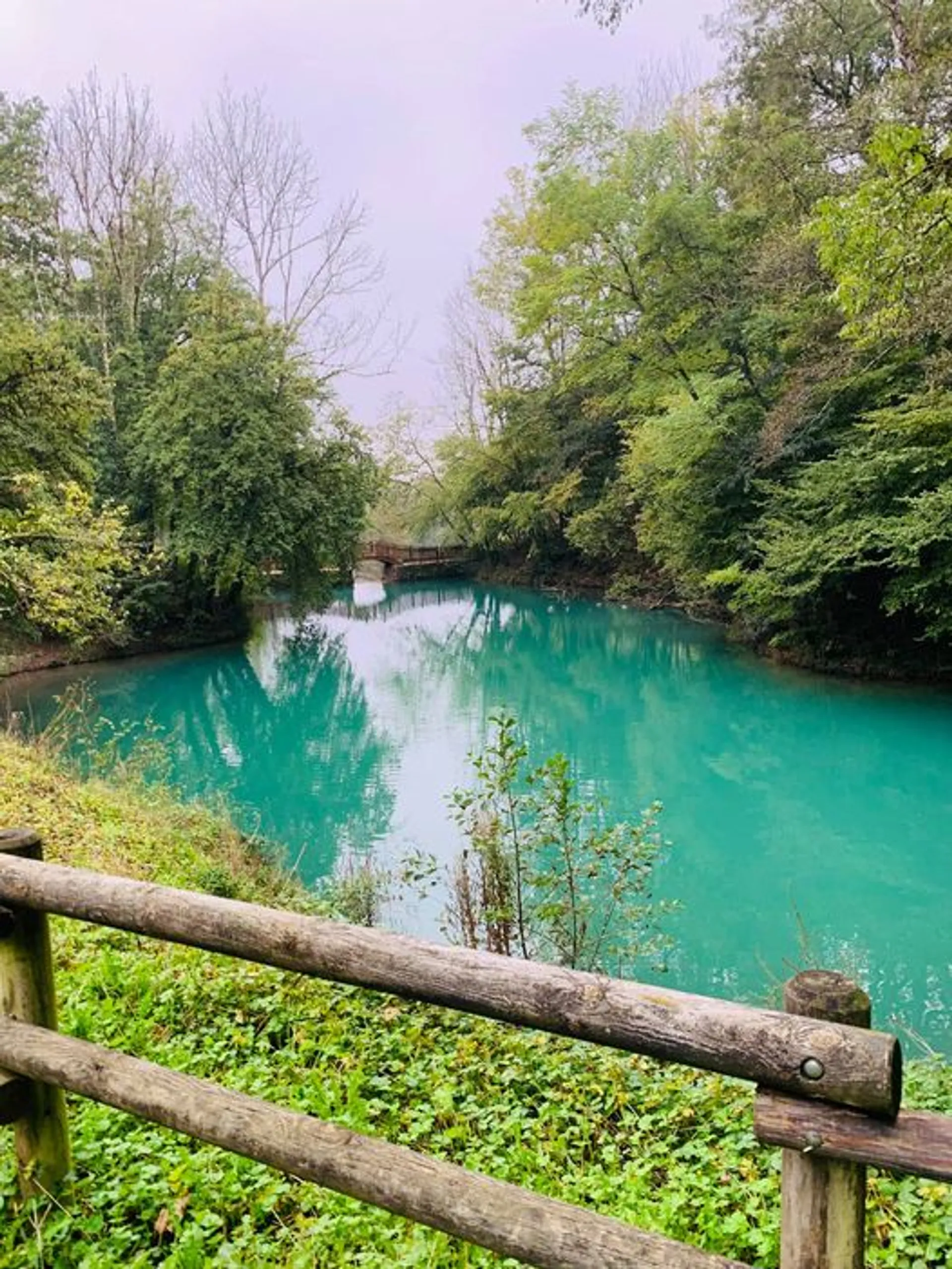 The image displays a tranquil natural scene featuring a vibrant blue water body, likely a