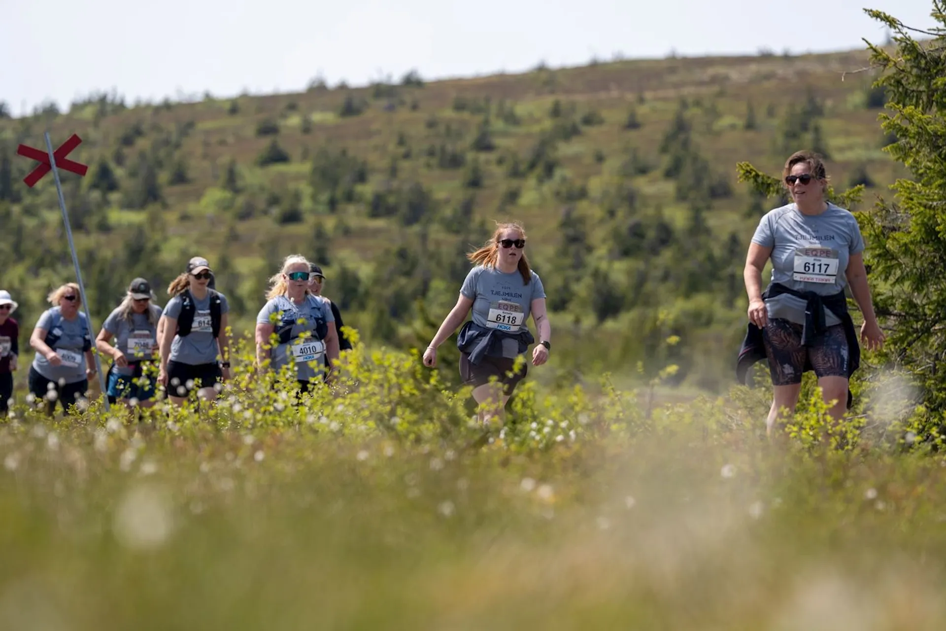 The image shows a group of people participating in a walking or running event in an outdoor setting, possibly a trail race. They are wearing athletic clothing and numbered bibs. The background includes grassy terrain and small trees, indicating a natural environment. A trail marker is visible on the left side.