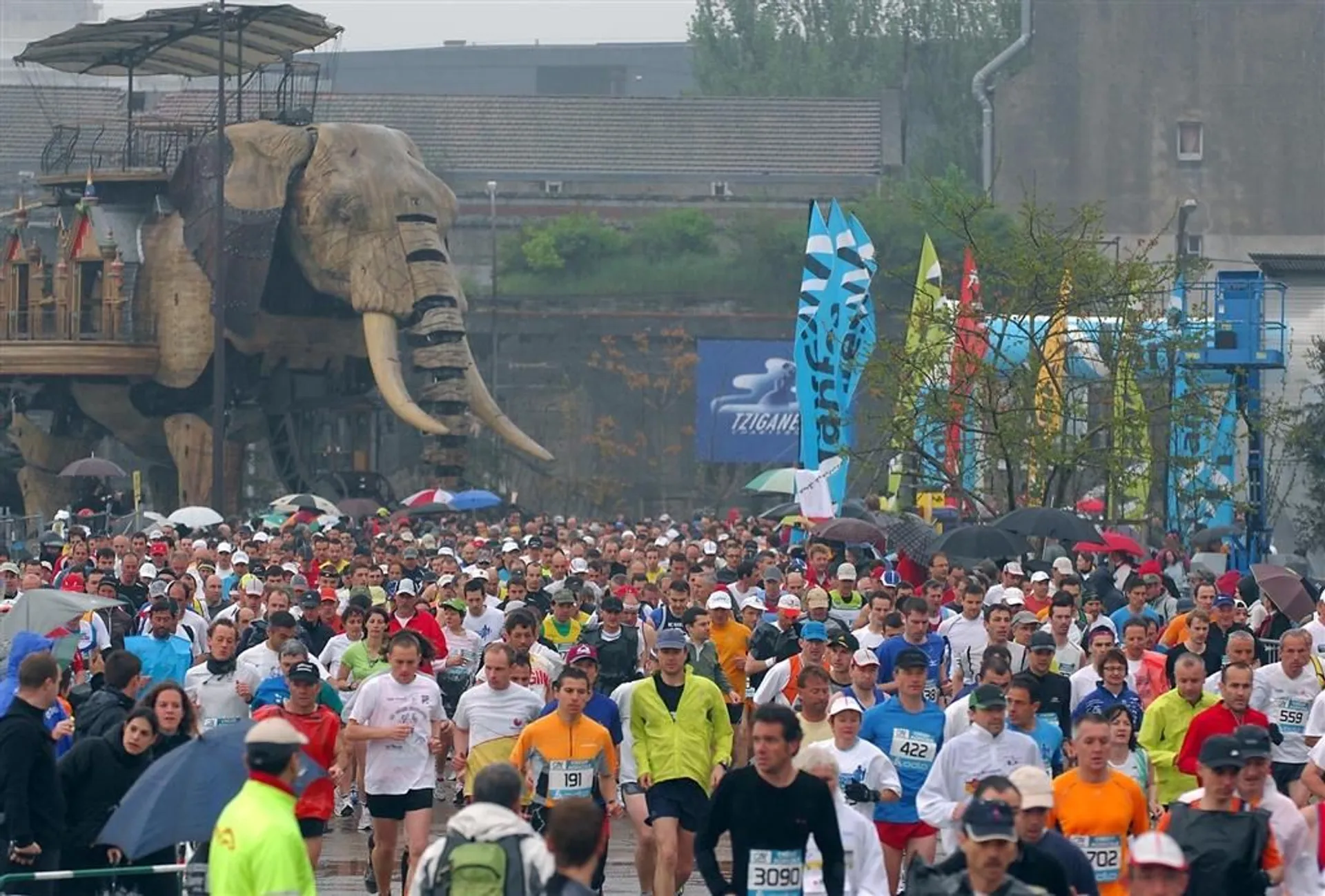 Abalone Marathon de Nantes