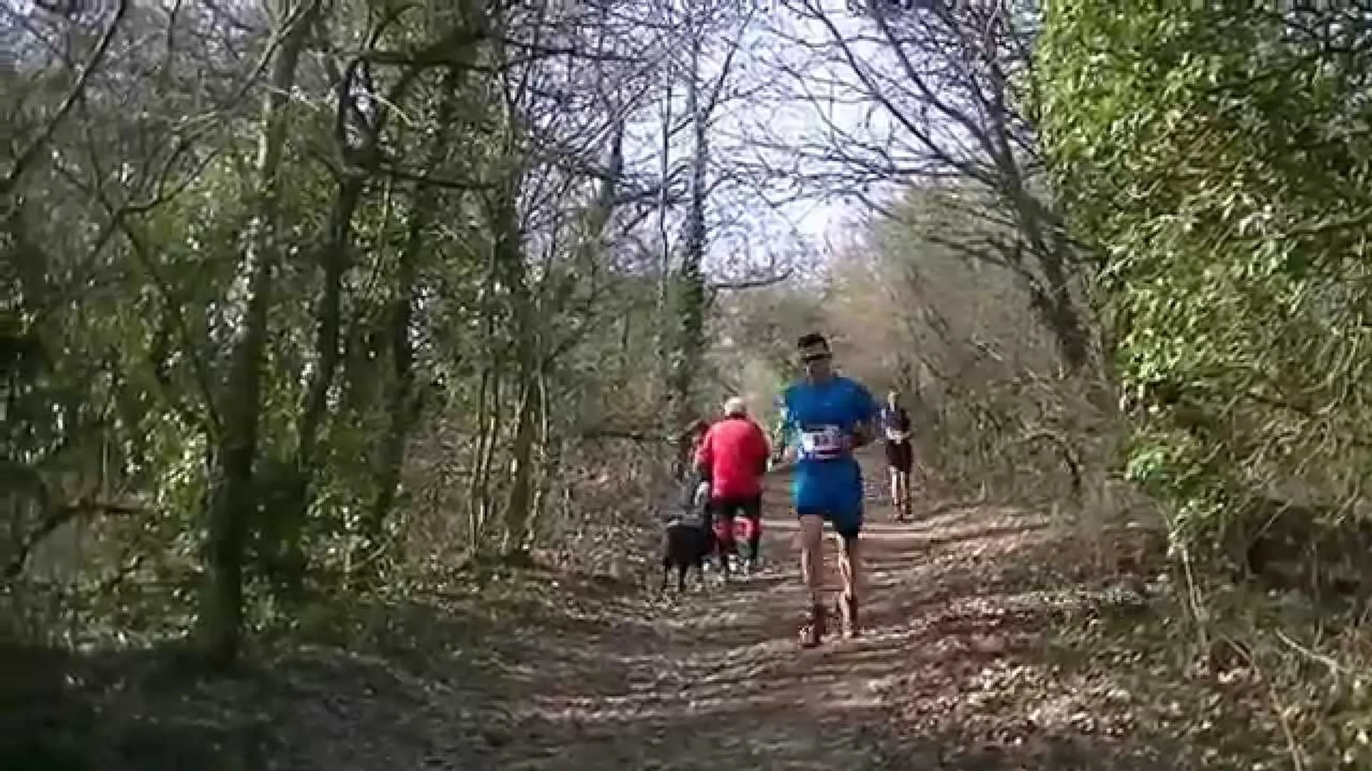 Trail des Cabornis - main photo