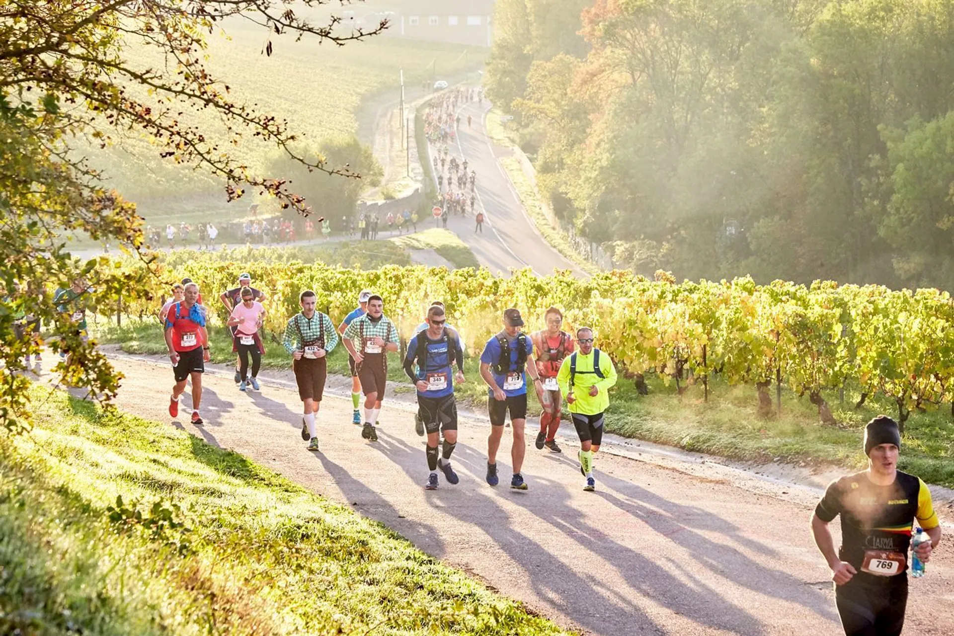 Marathon de Chablis