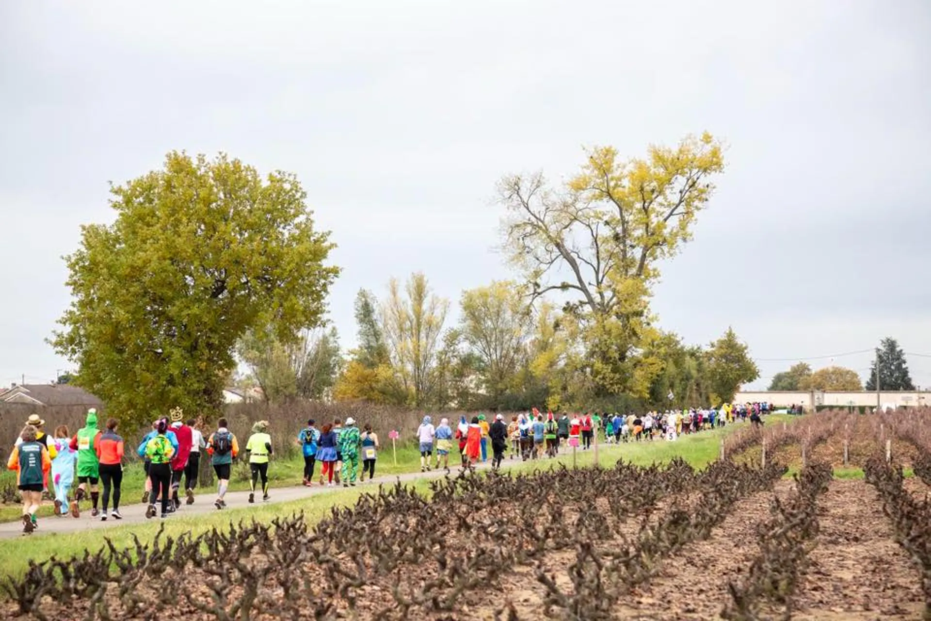 Marathon International du Beaujolais