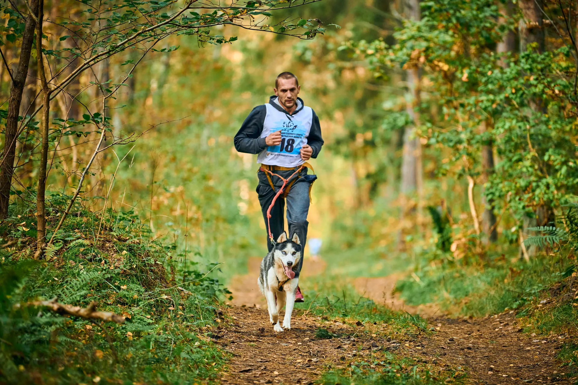 Race theme: Trail