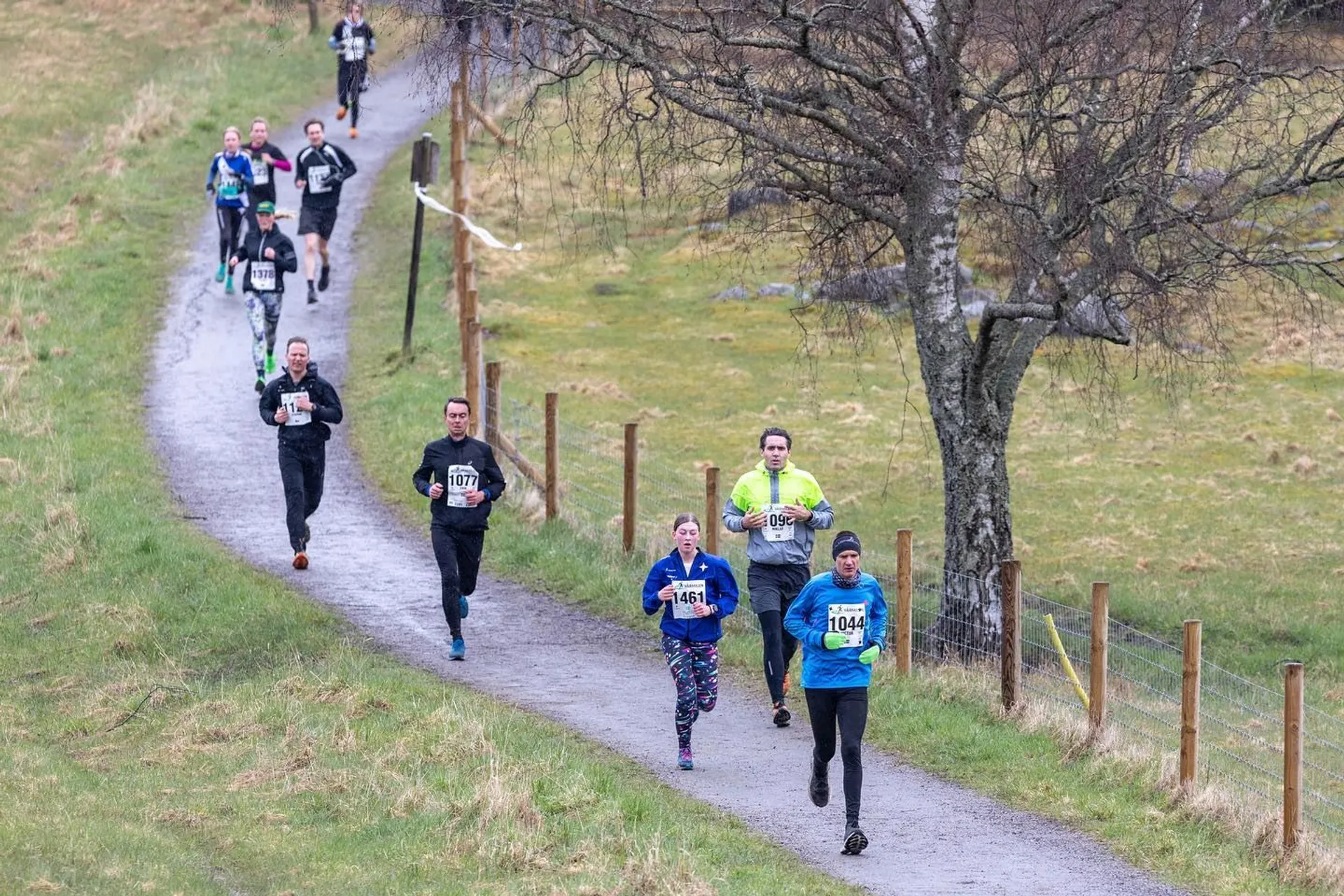 The image shows a group of people running on a narrow path during a race. They are wearing race numbers and sports attire. The surrounding area is grassy with a few trees, indicating an outdoor setting.