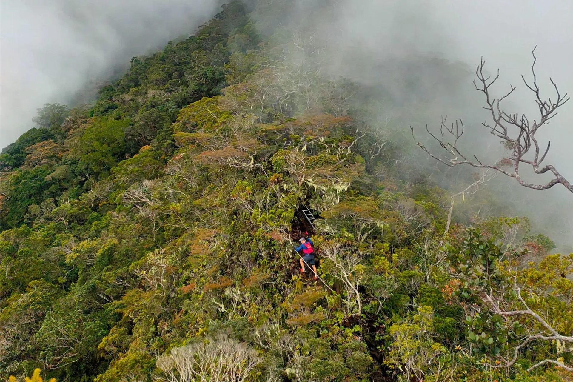 Mount TrusMadi International Climbathon