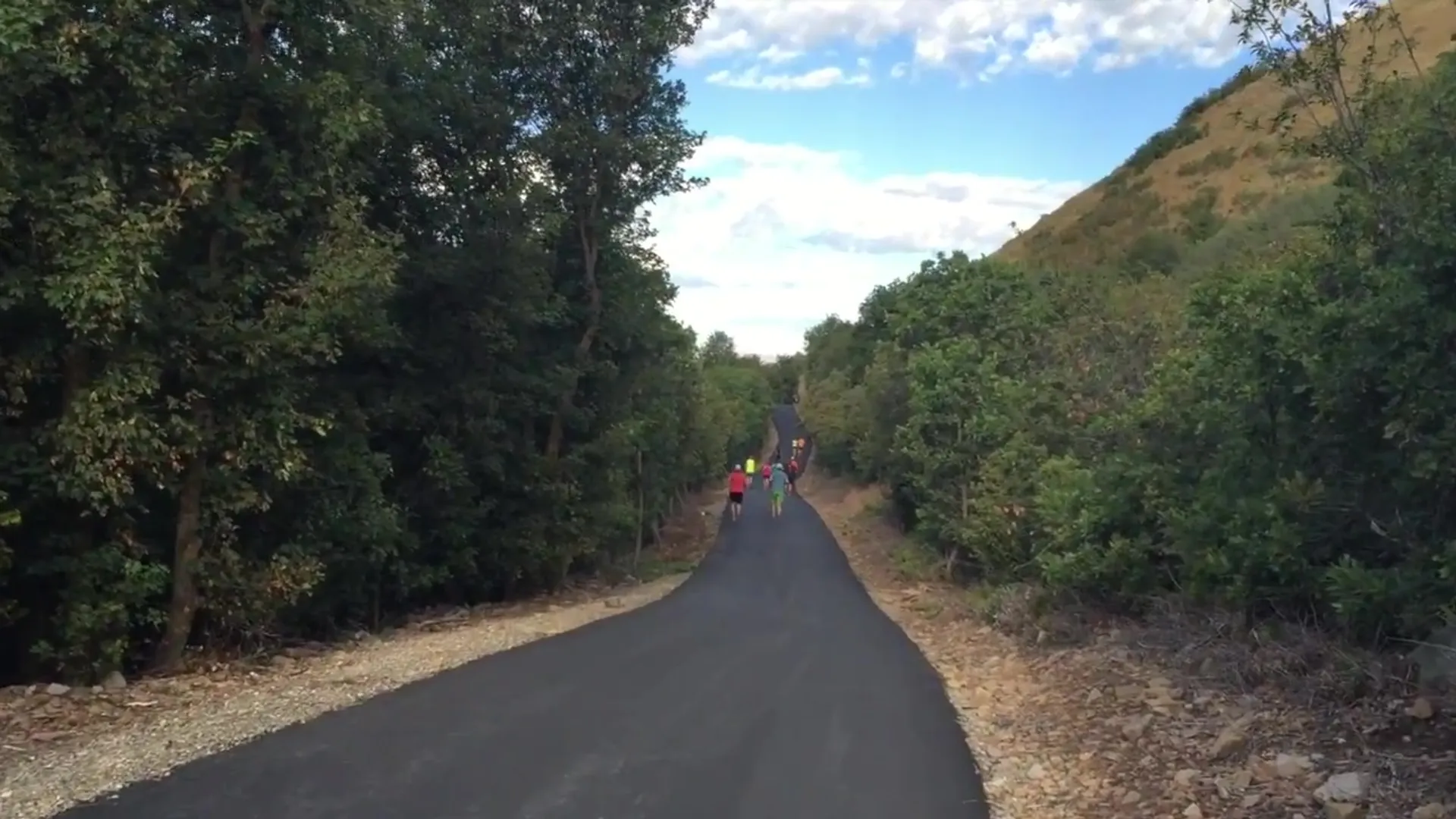 The image shows a group of people walking down a narrow asphalt road surrounded by green