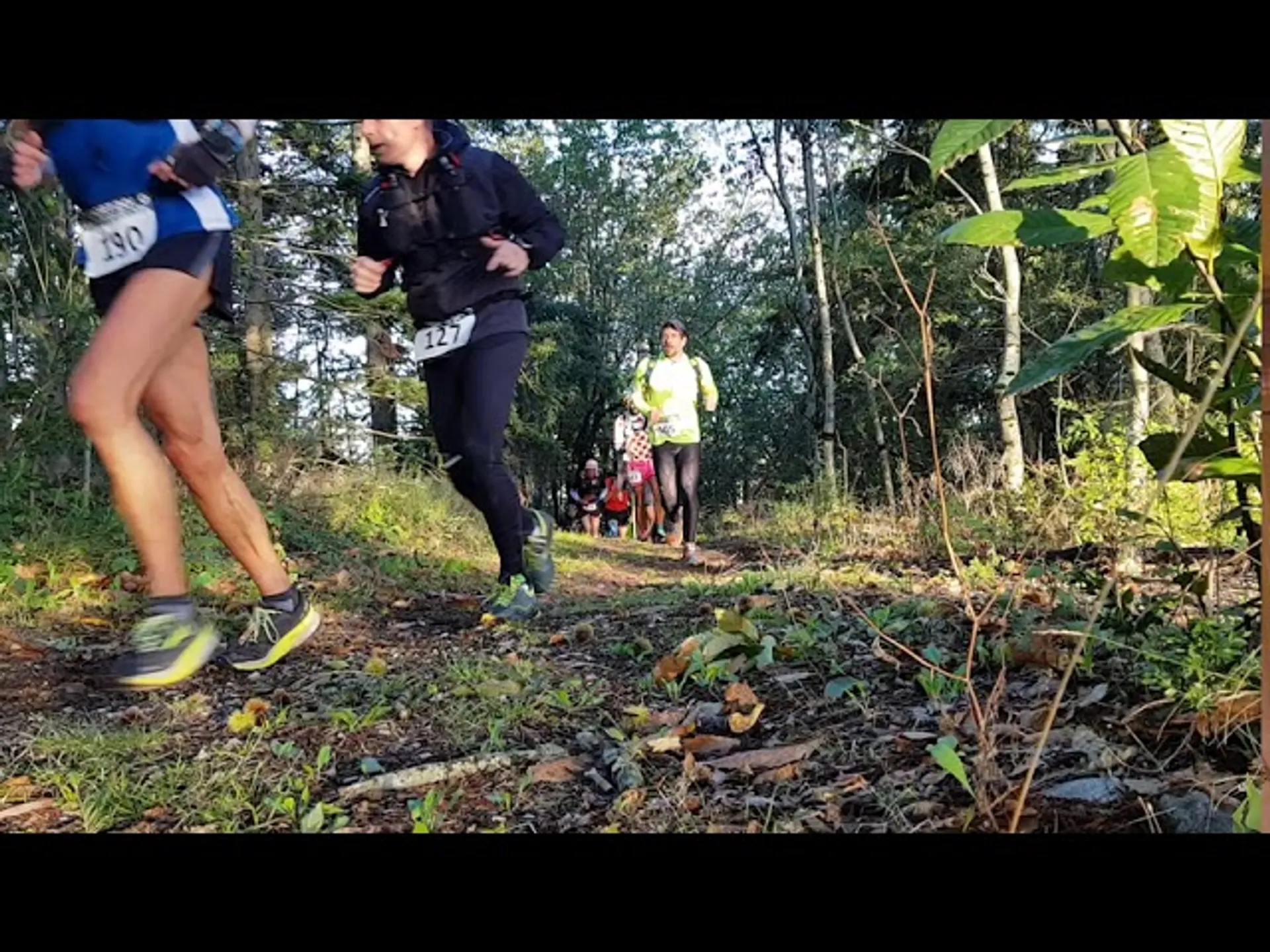 Trail de la Passerelle - main photo