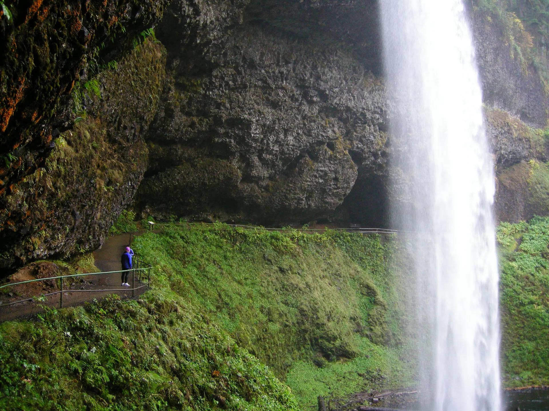 Silver Falls Trail Runs