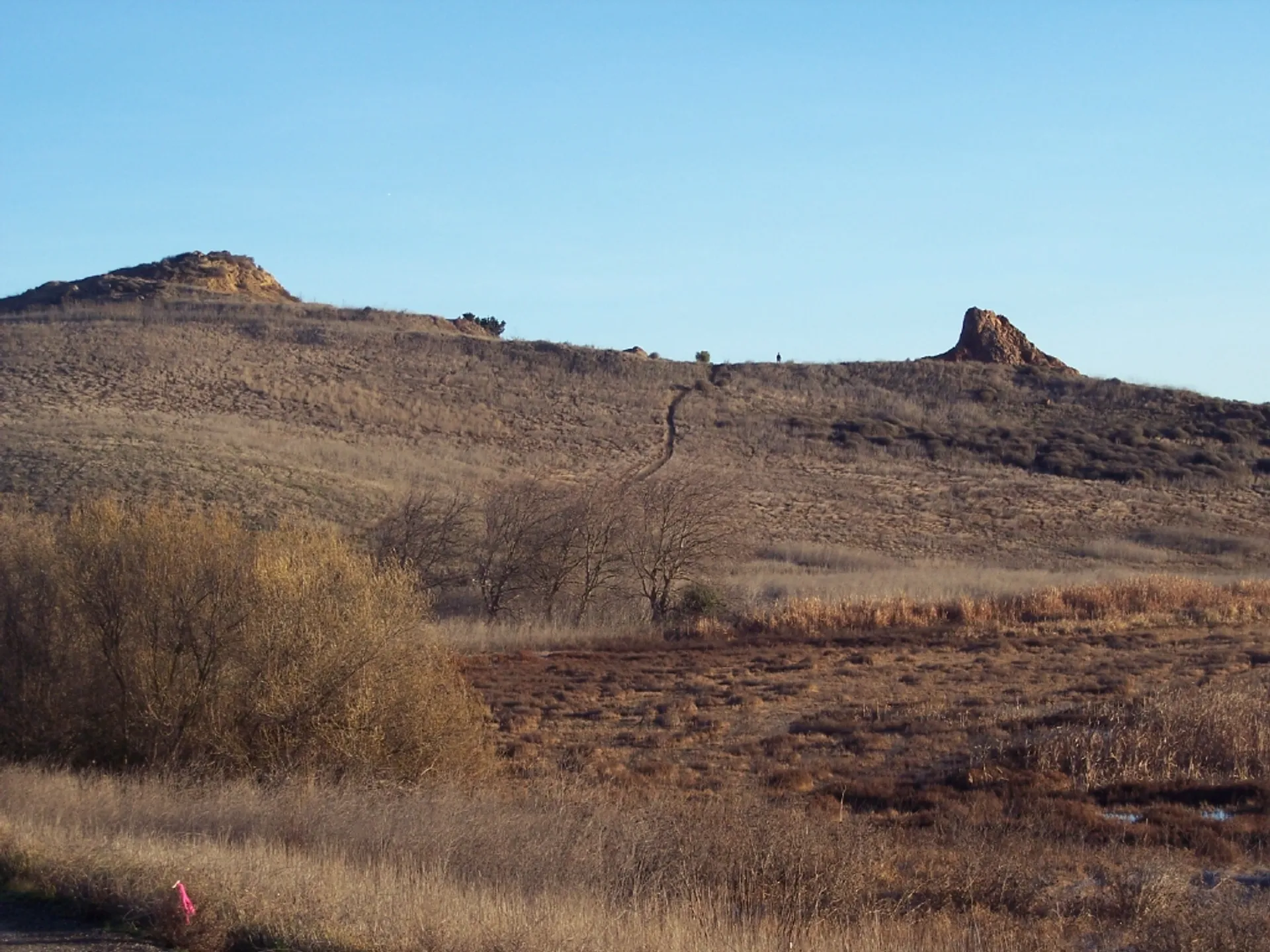 The image shows a natural landscape with a clear blue sky. There are two prominent
