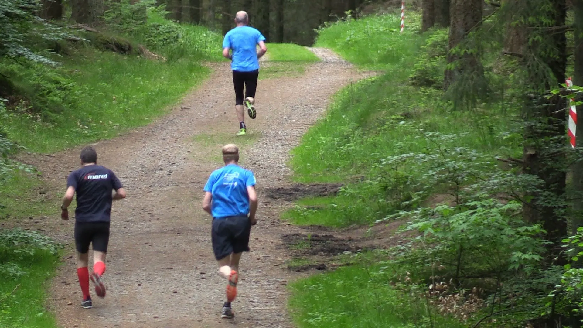 Rebildløbet Half-marathon