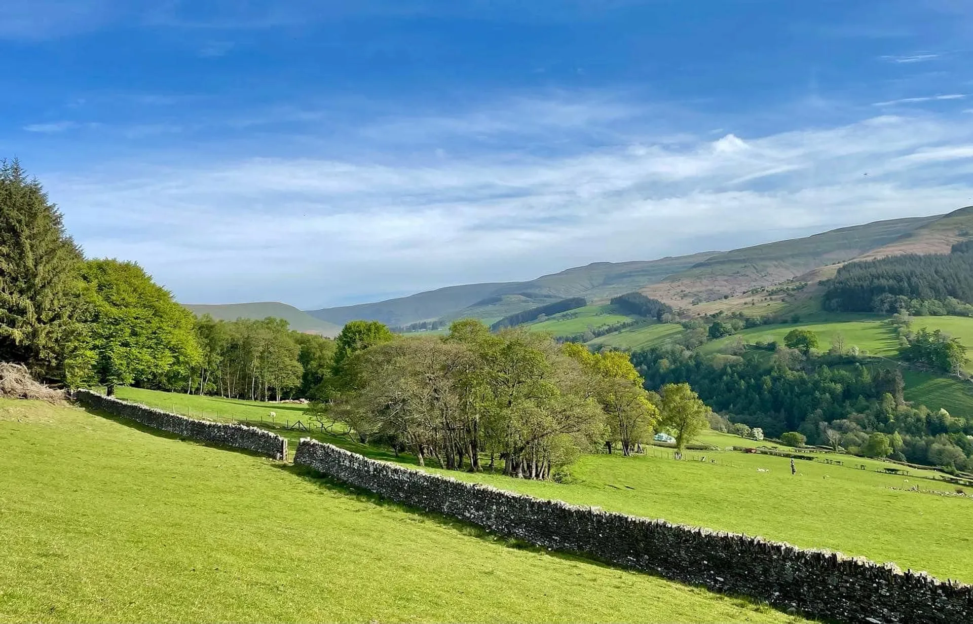 Image of Black Mountains 50 & 32 Mile Ultra, Marathon & Half Marathon