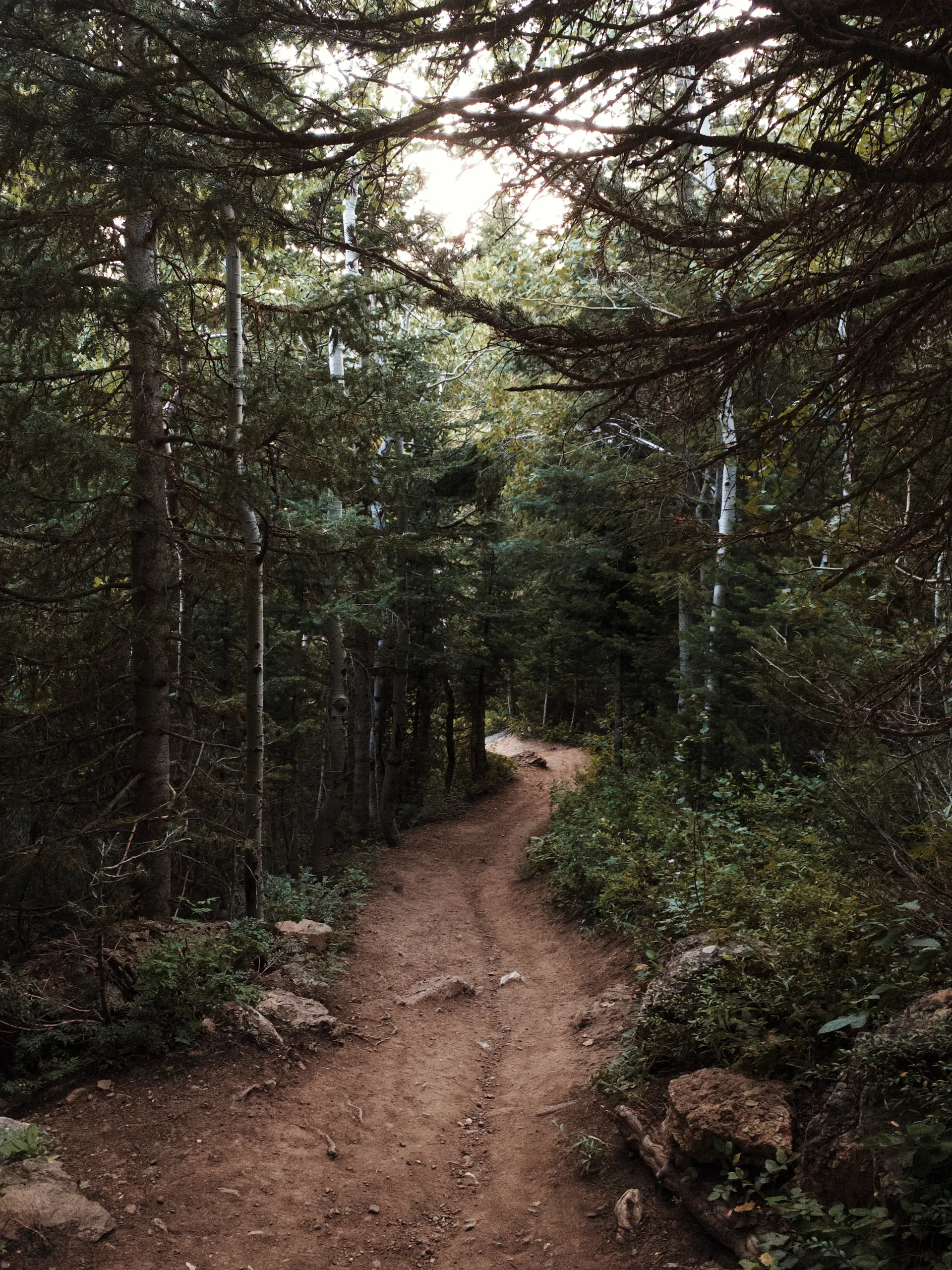 Race theme: Trail
