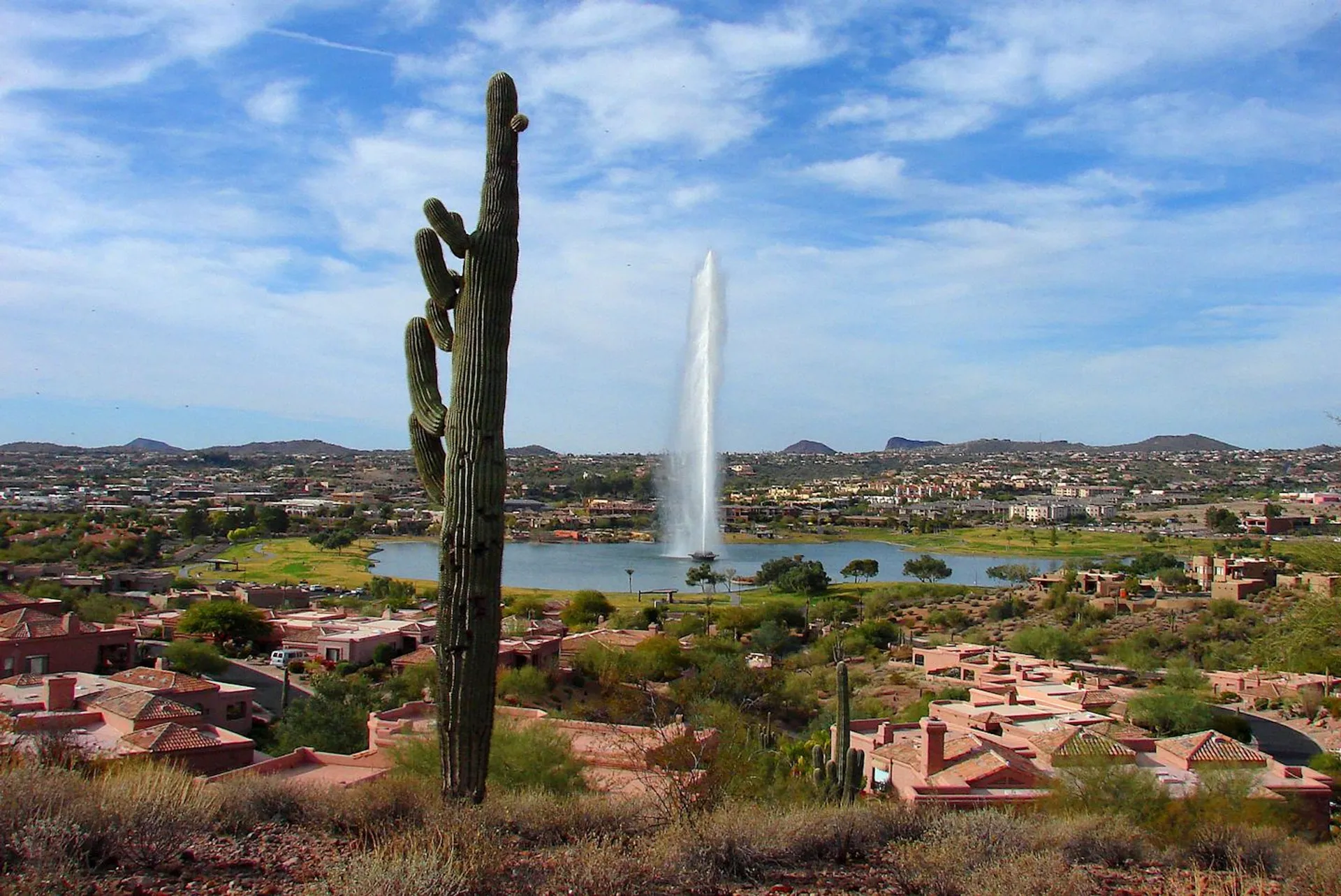 McDowell Mountain Frenzy Trail Runs