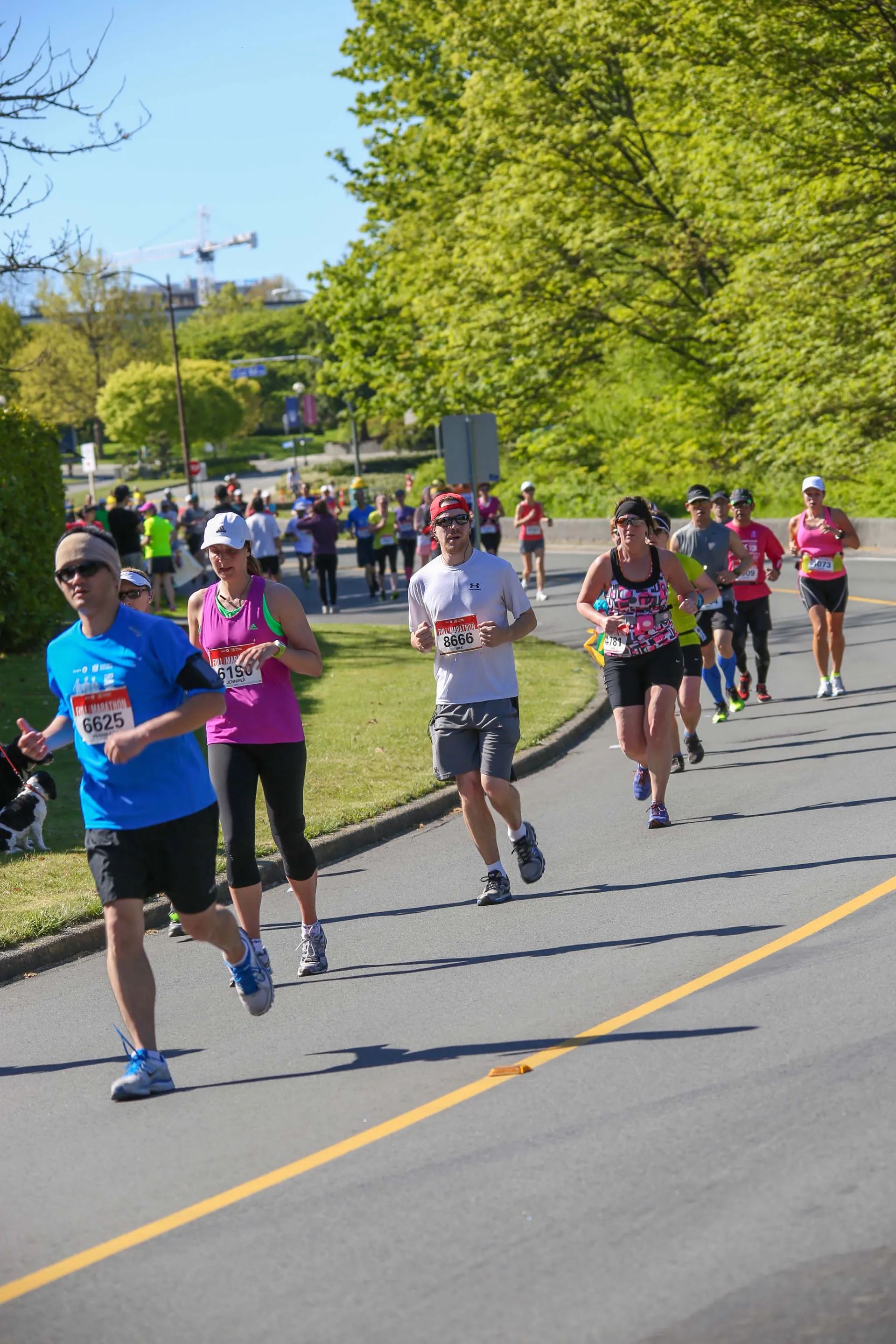 The image shows a group of individuals participating in a running event, likely a marathon