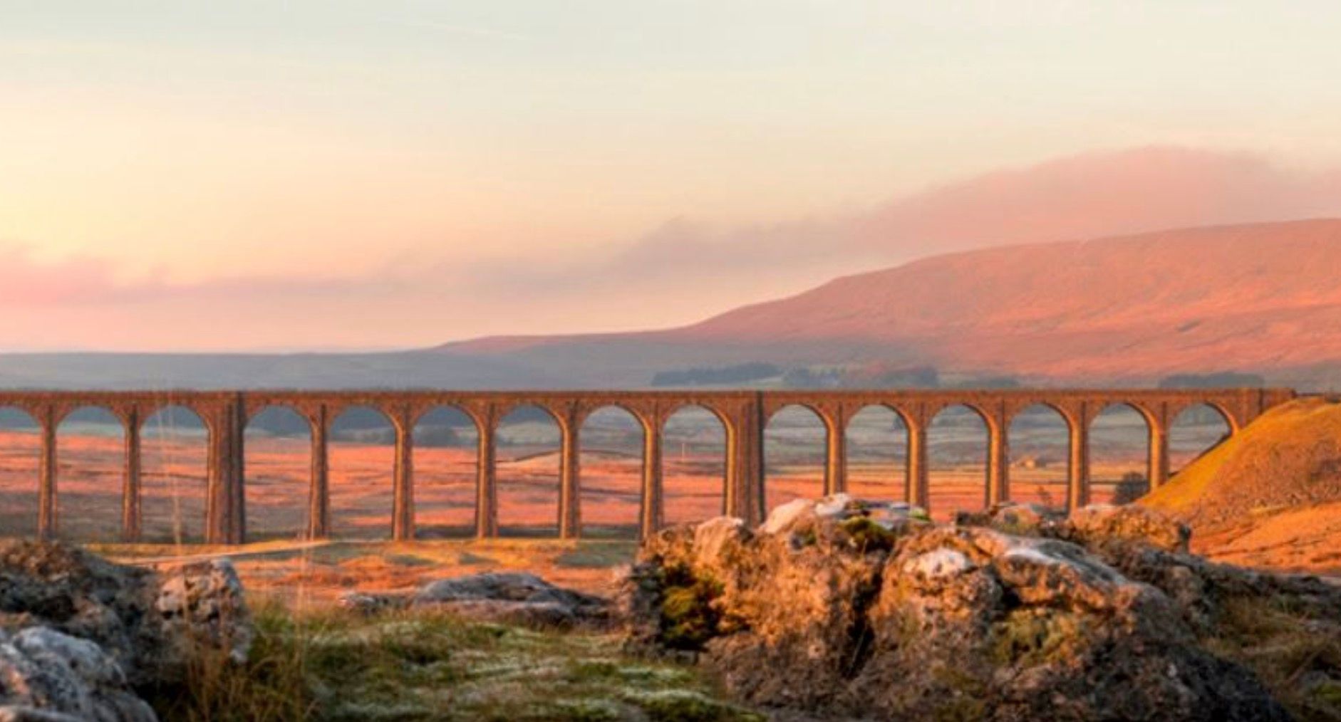 settle half marathon road race