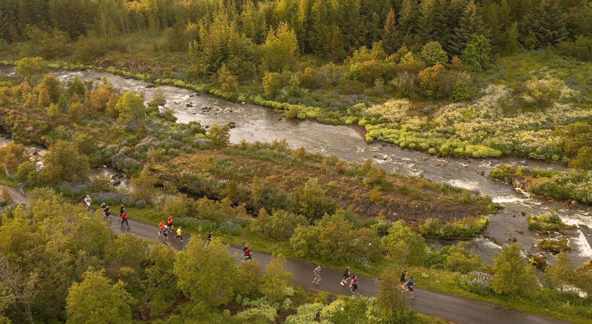 Image of Suzuki Midnight Sun Run