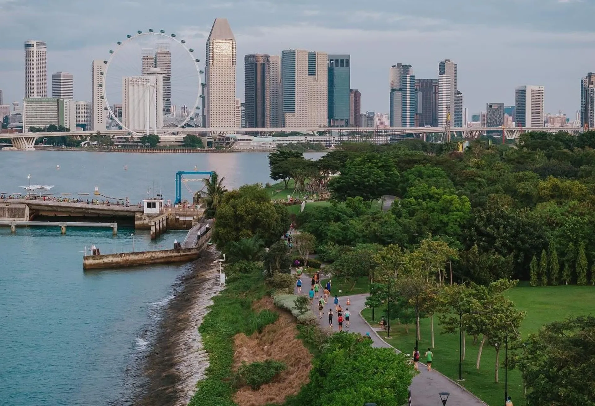 This image shows a cityscape with a waterfront and a large observation wheel in the background. There are tall buildings and skyscrapers, and a pathway along the water with people walking or jogging. The area is lush with greenery.