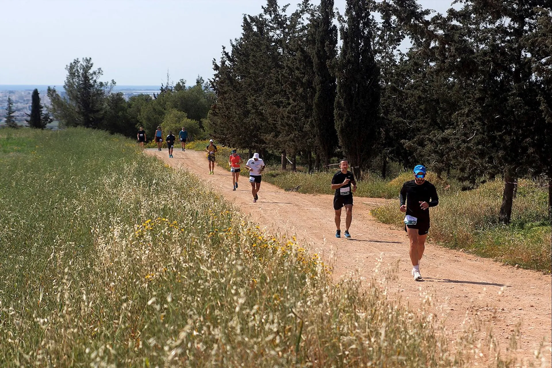 Cyprus Backyard Ultra