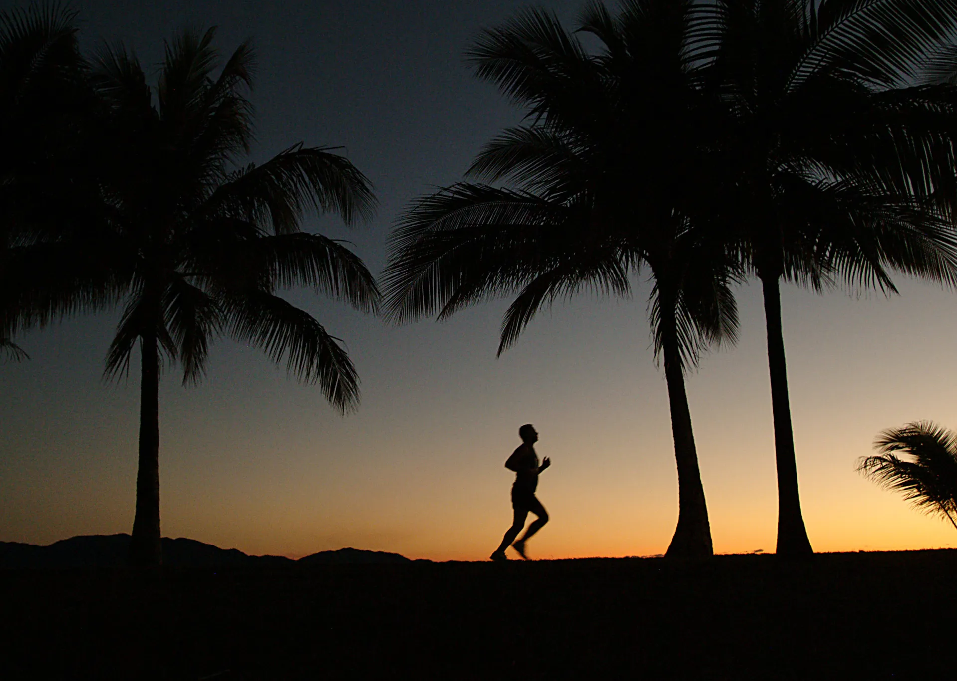 The image depicts a silhouette of a person running past a row of palm trees during