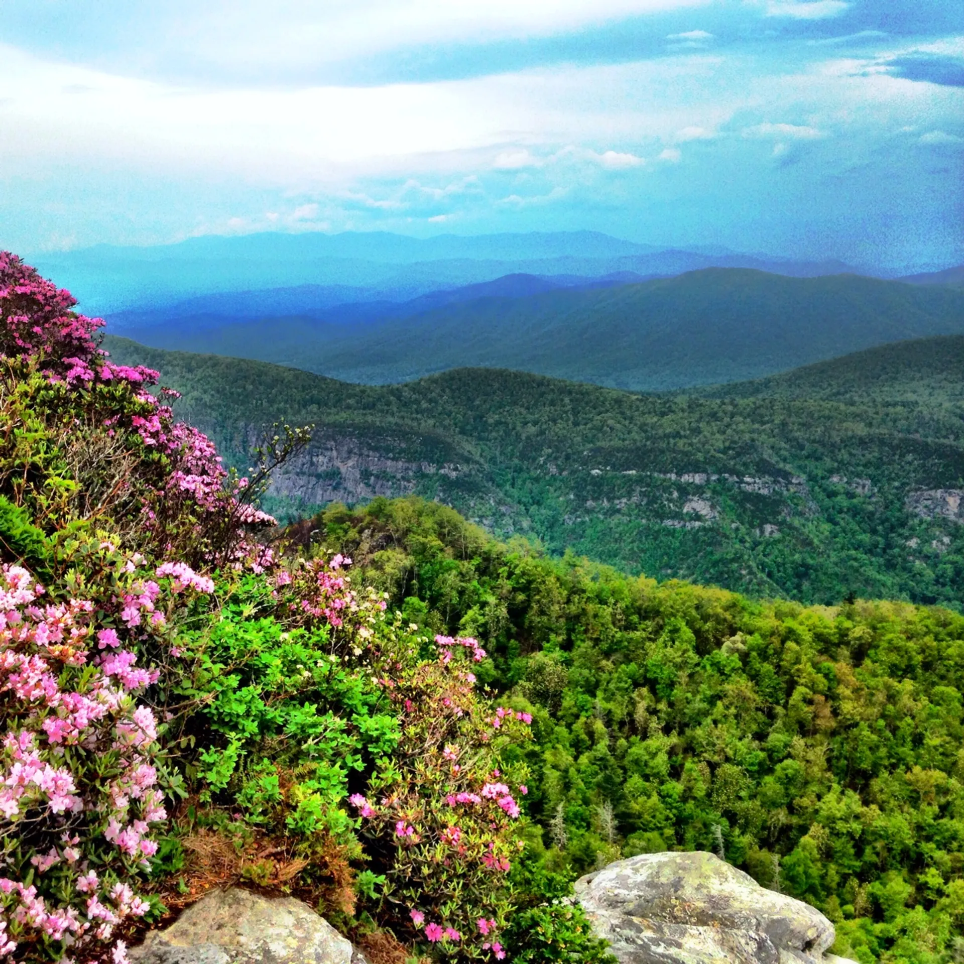 Table Rock Ultras - main photo