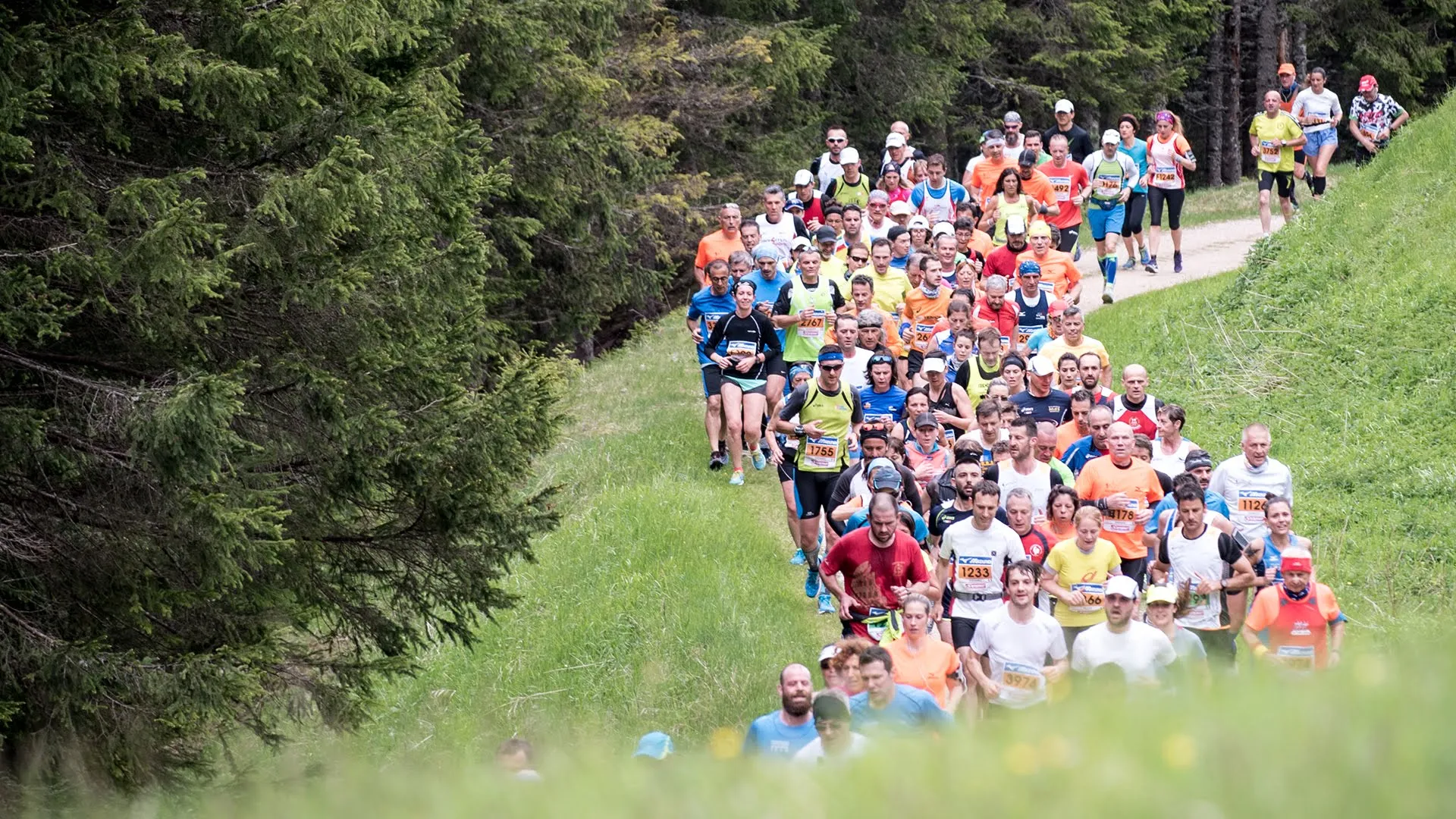 The image shows a large group of runners participating in a trail running event. They