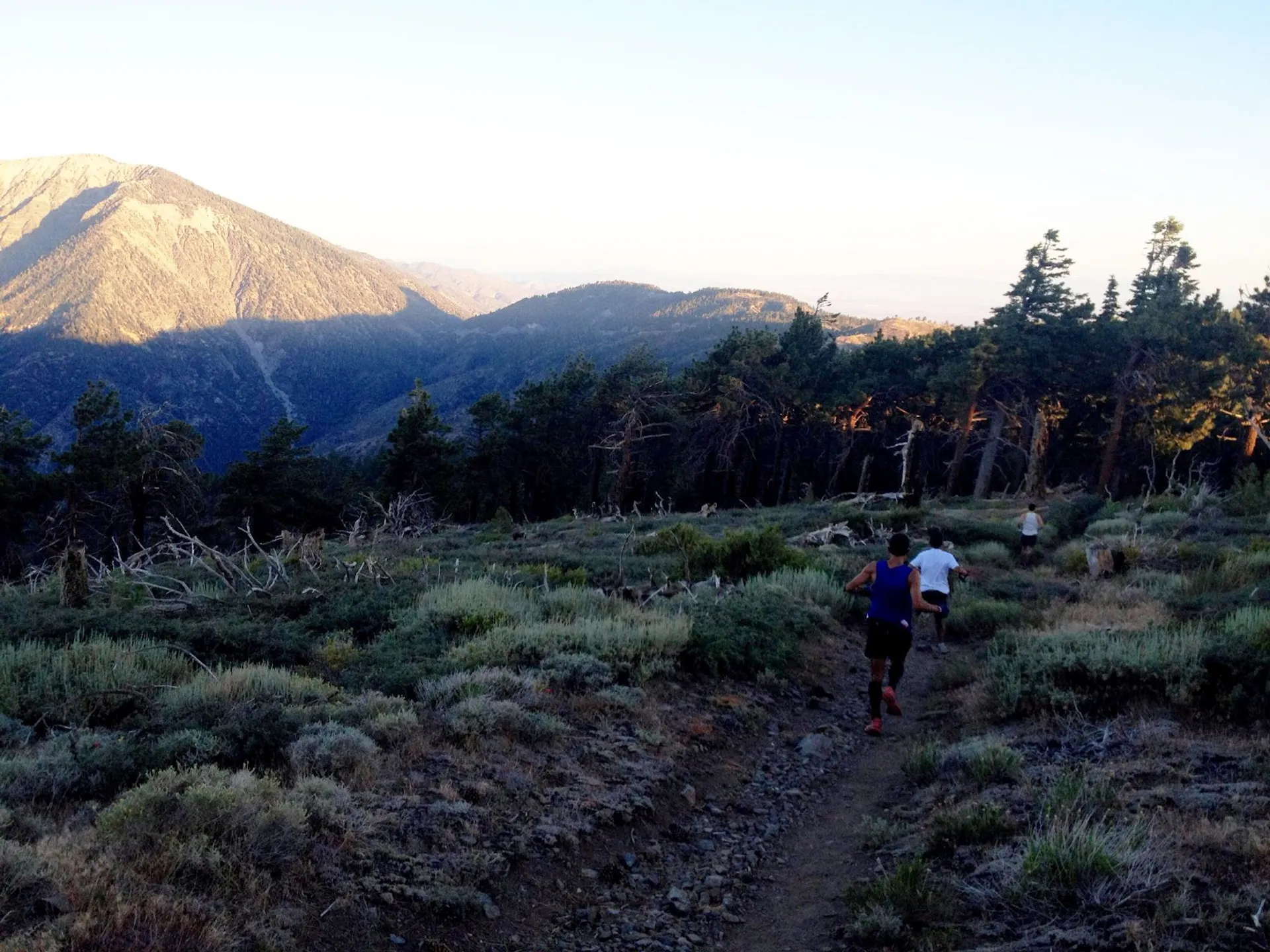 Angeles Crest 100 mile endurance run