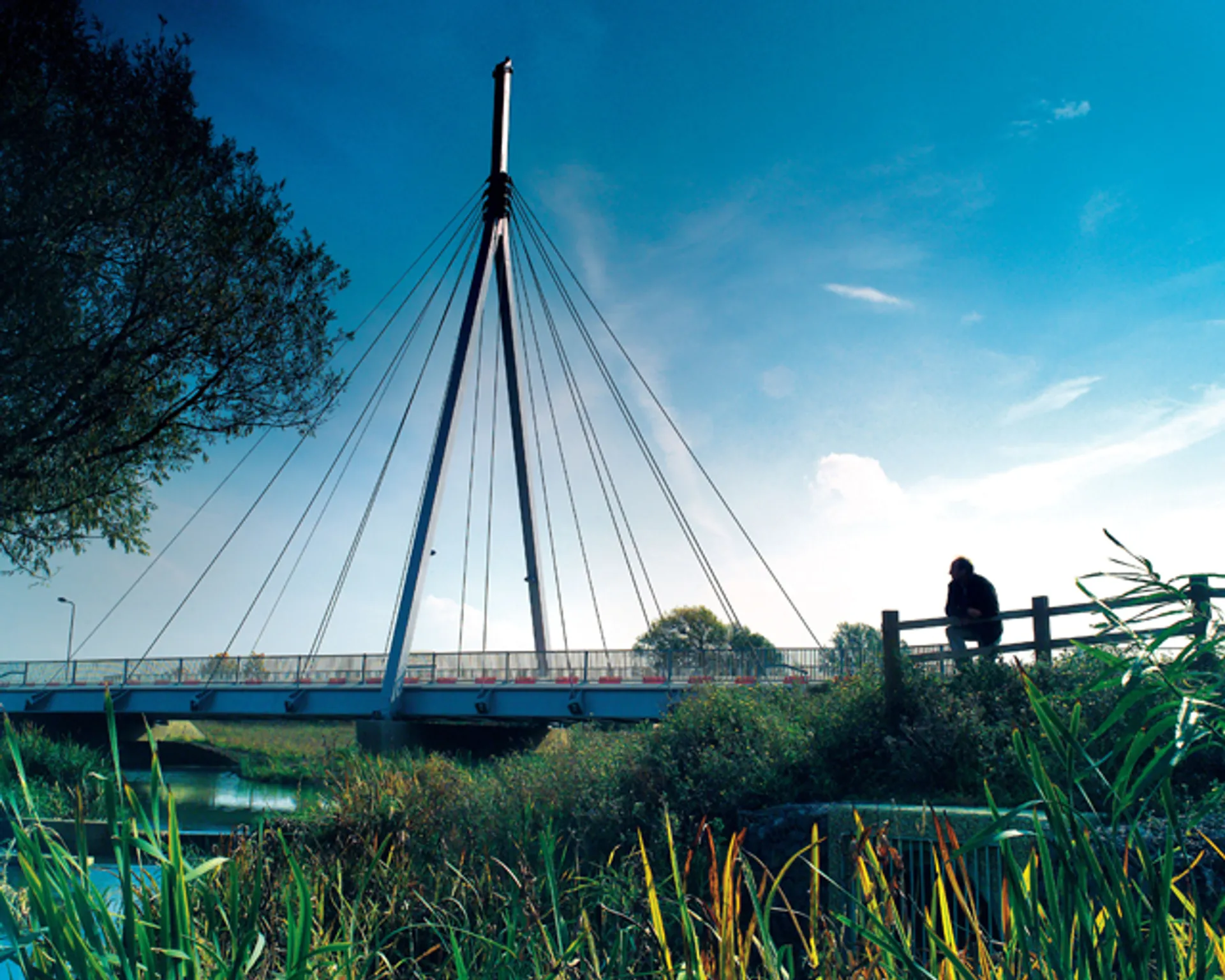 The image depicts a cable-stayed bridge with a single pylon, from which