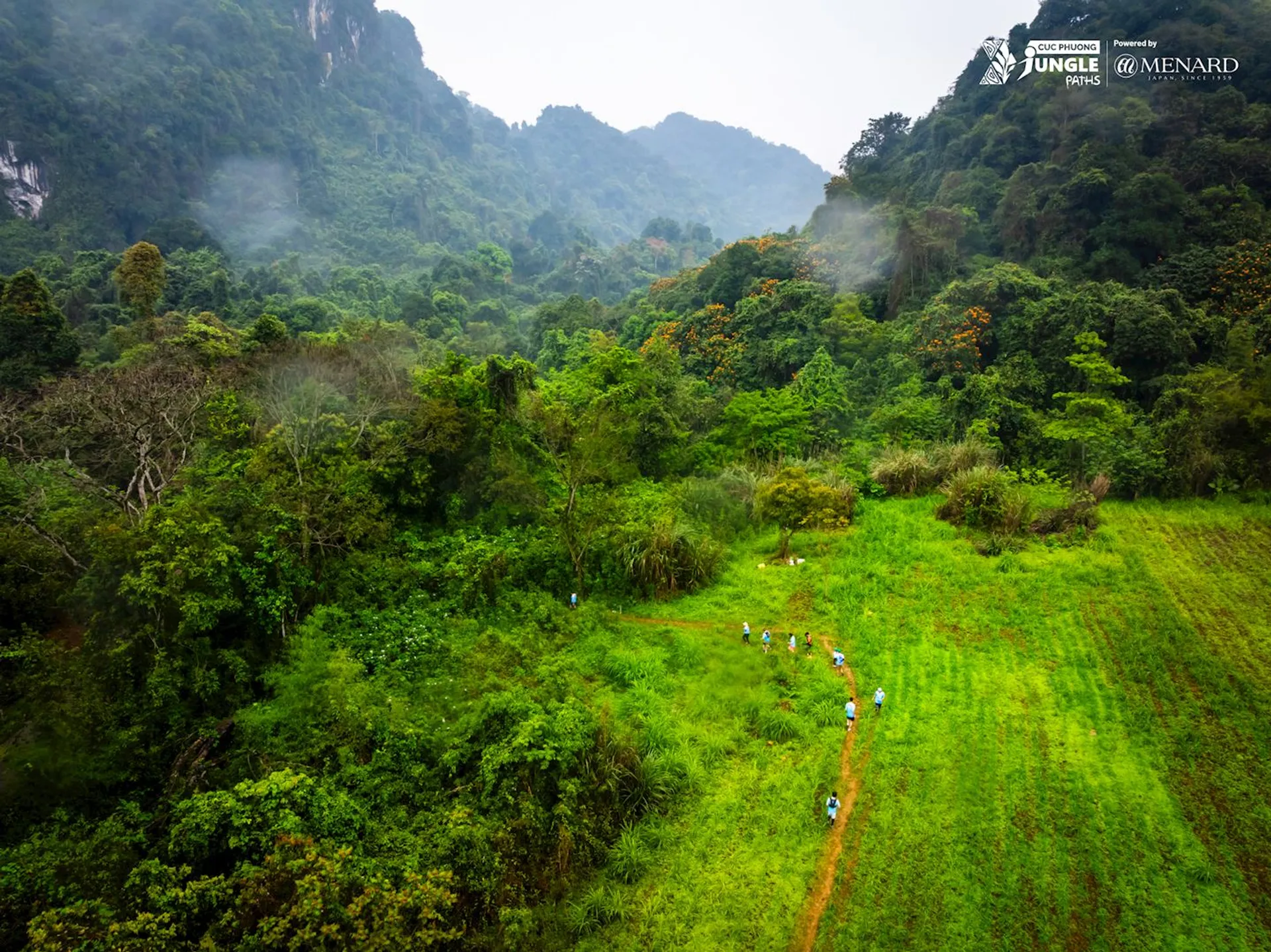 Image of Cuc Phuong Jungle Paths