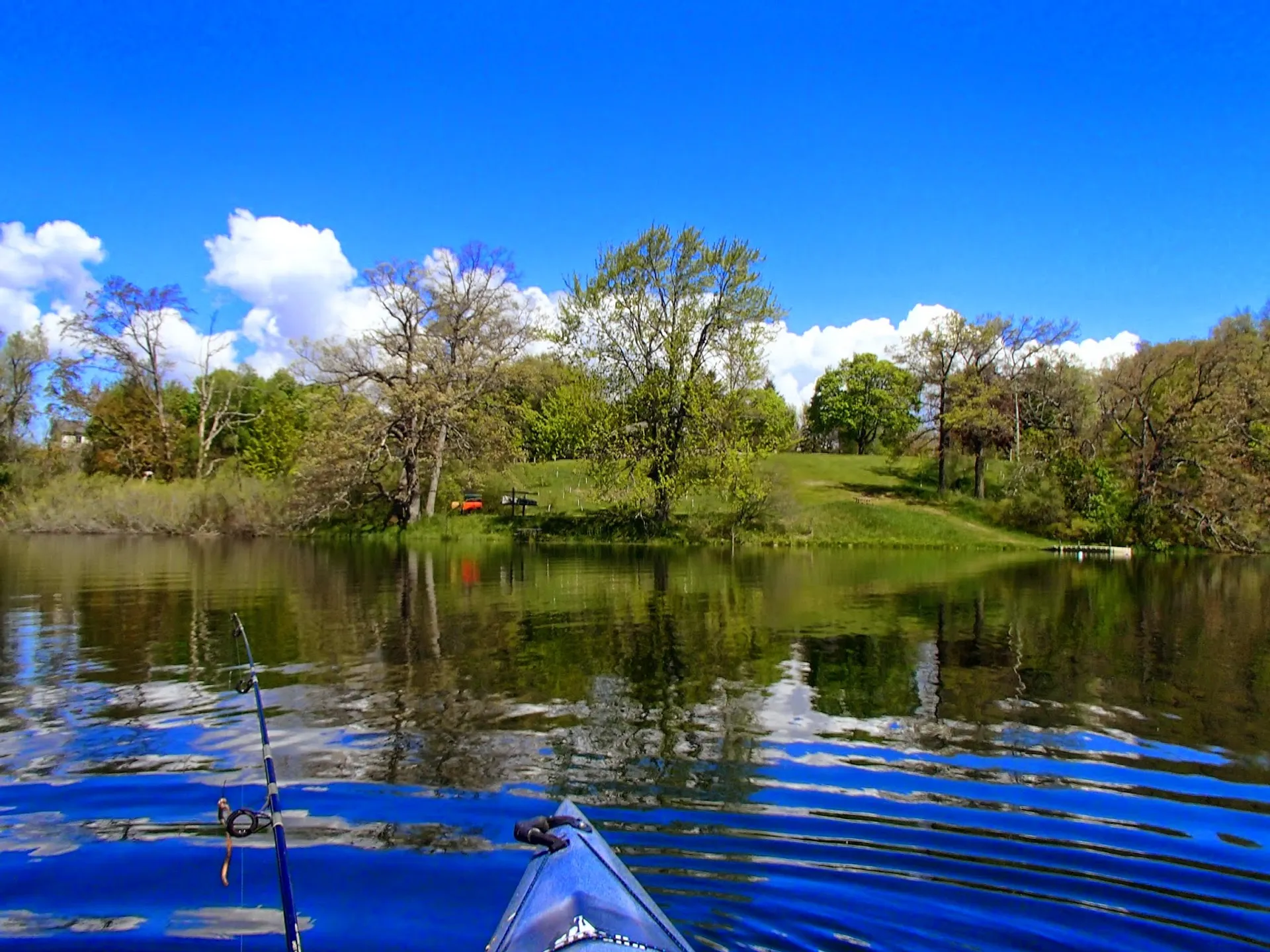Run for the Toad - main photo