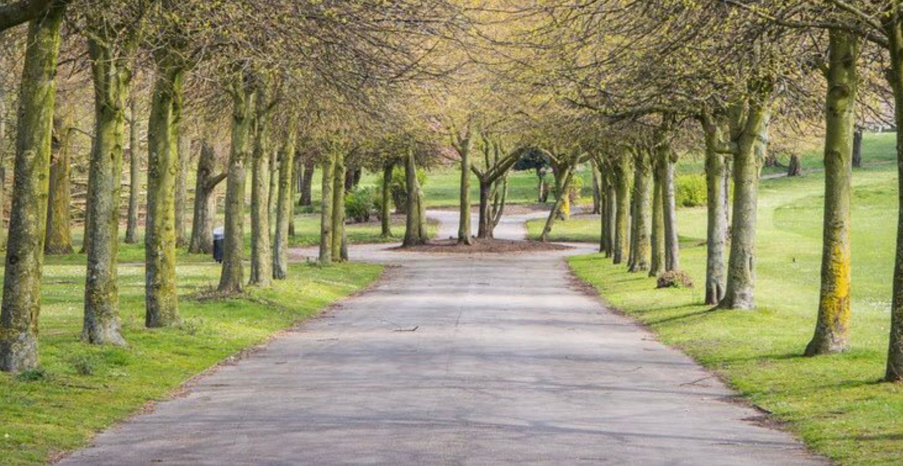 weald country park essex 10k